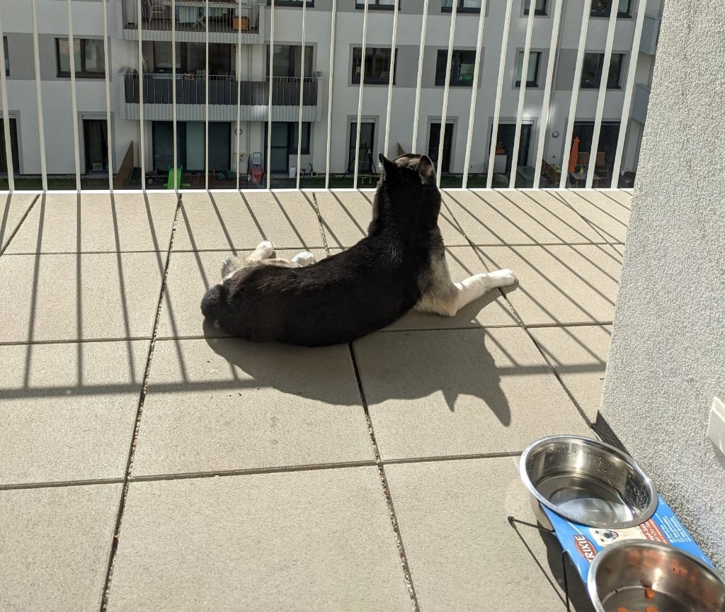 image-21