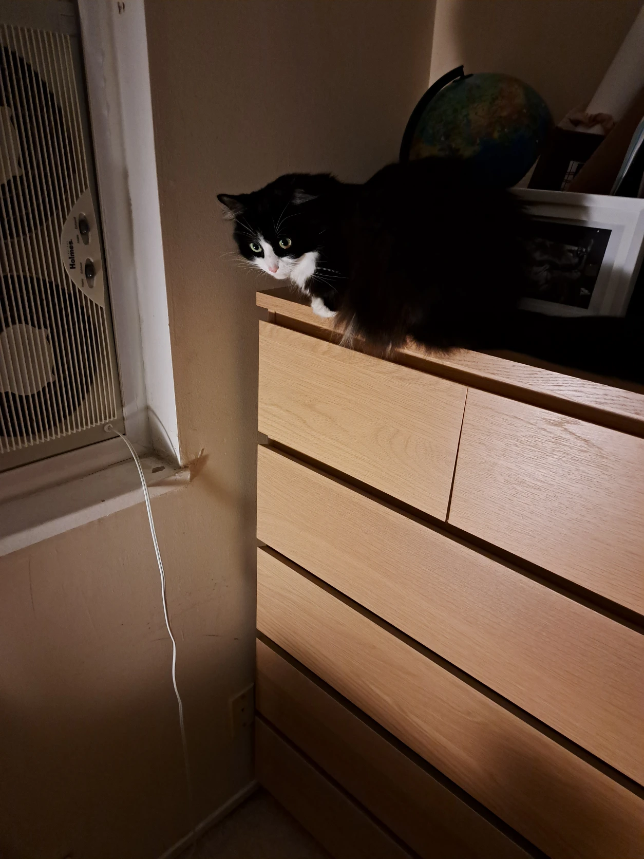 image-6