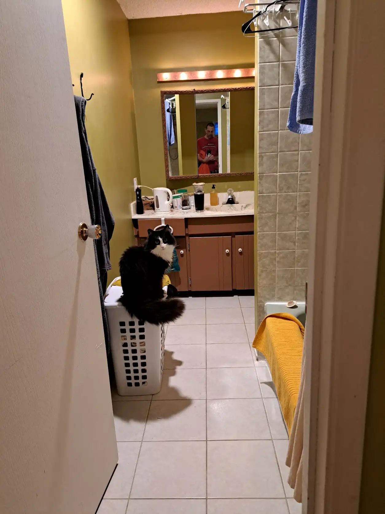 image-5
