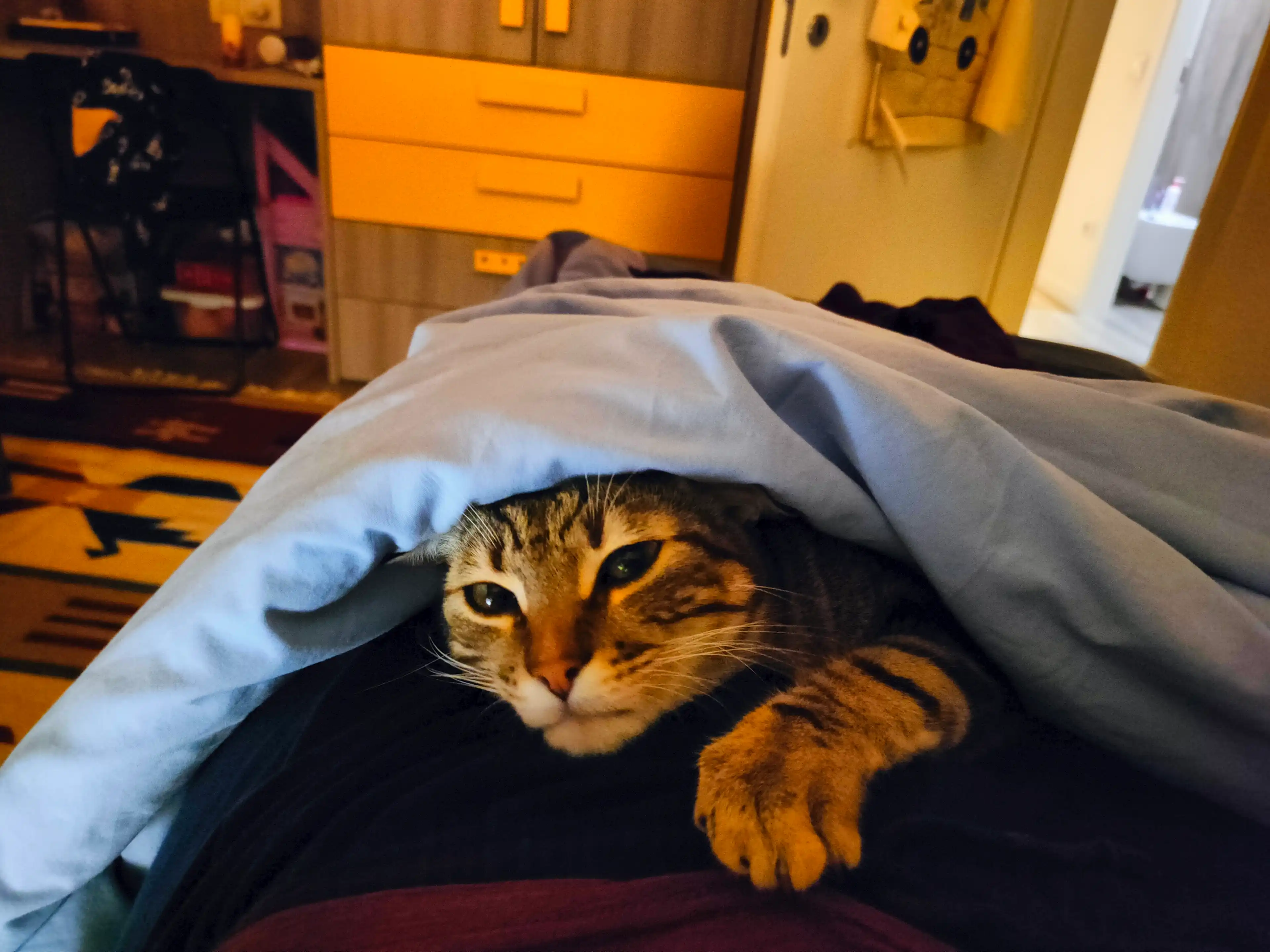 image-8