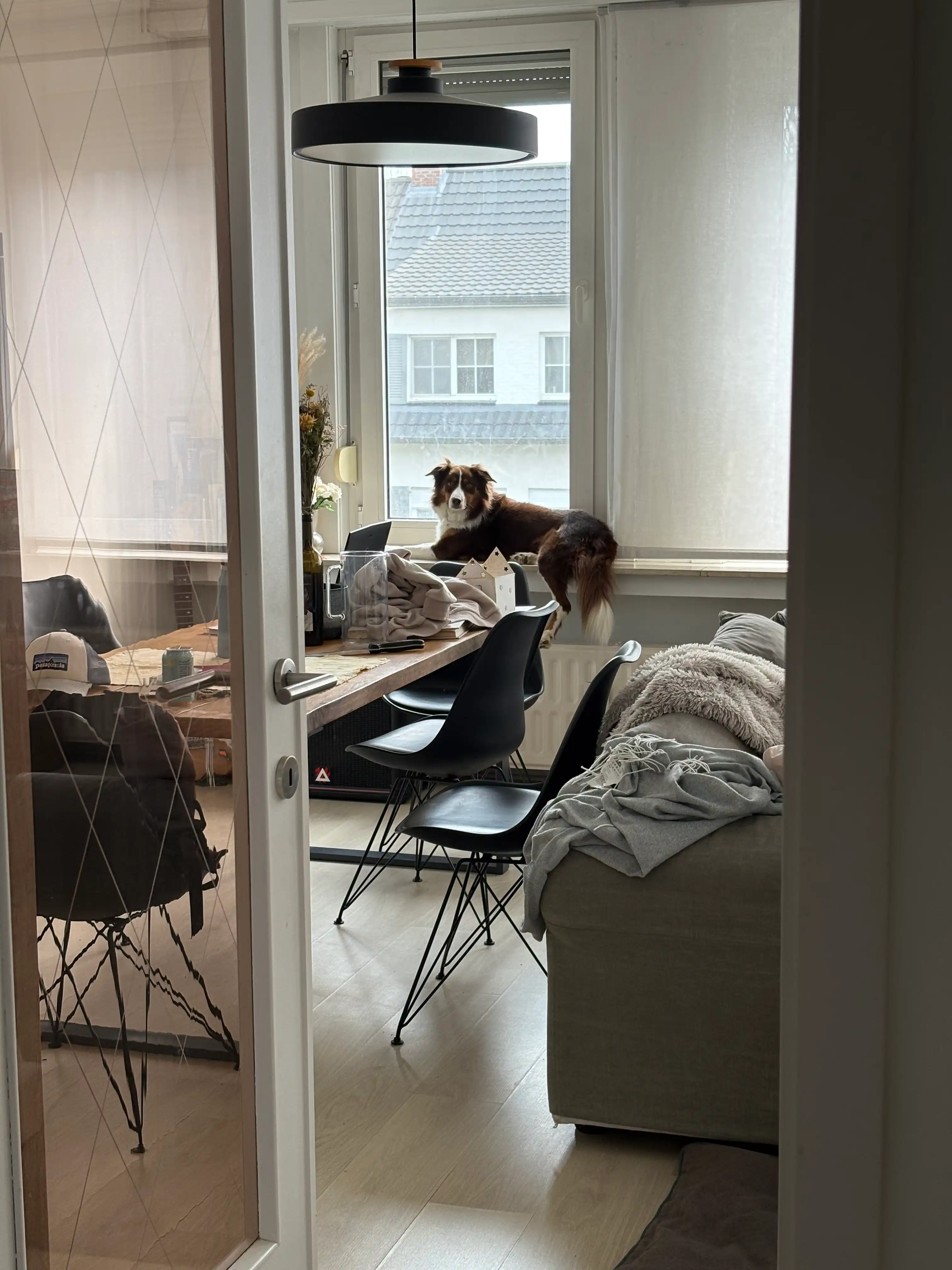 image-14
