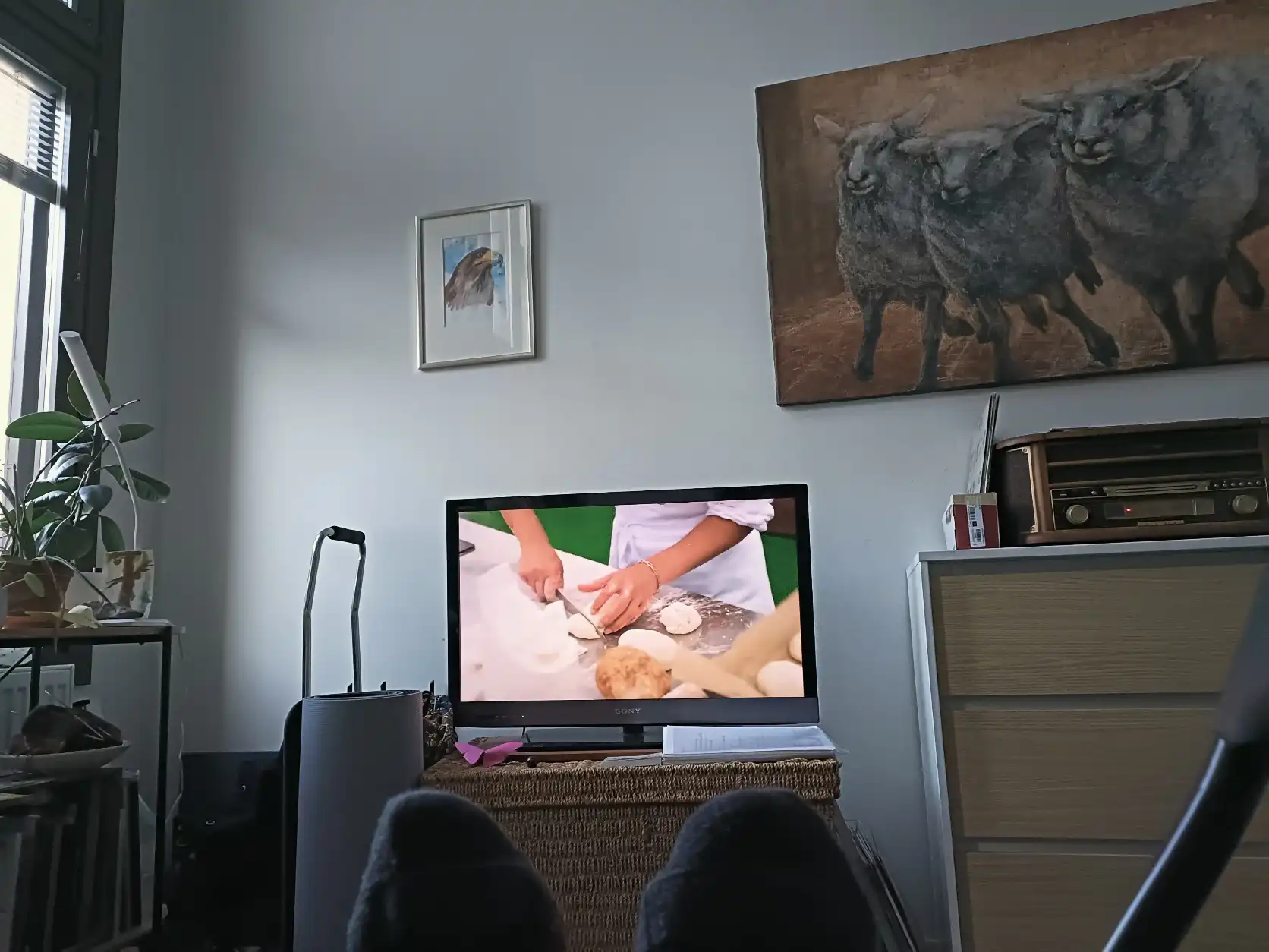image-15
