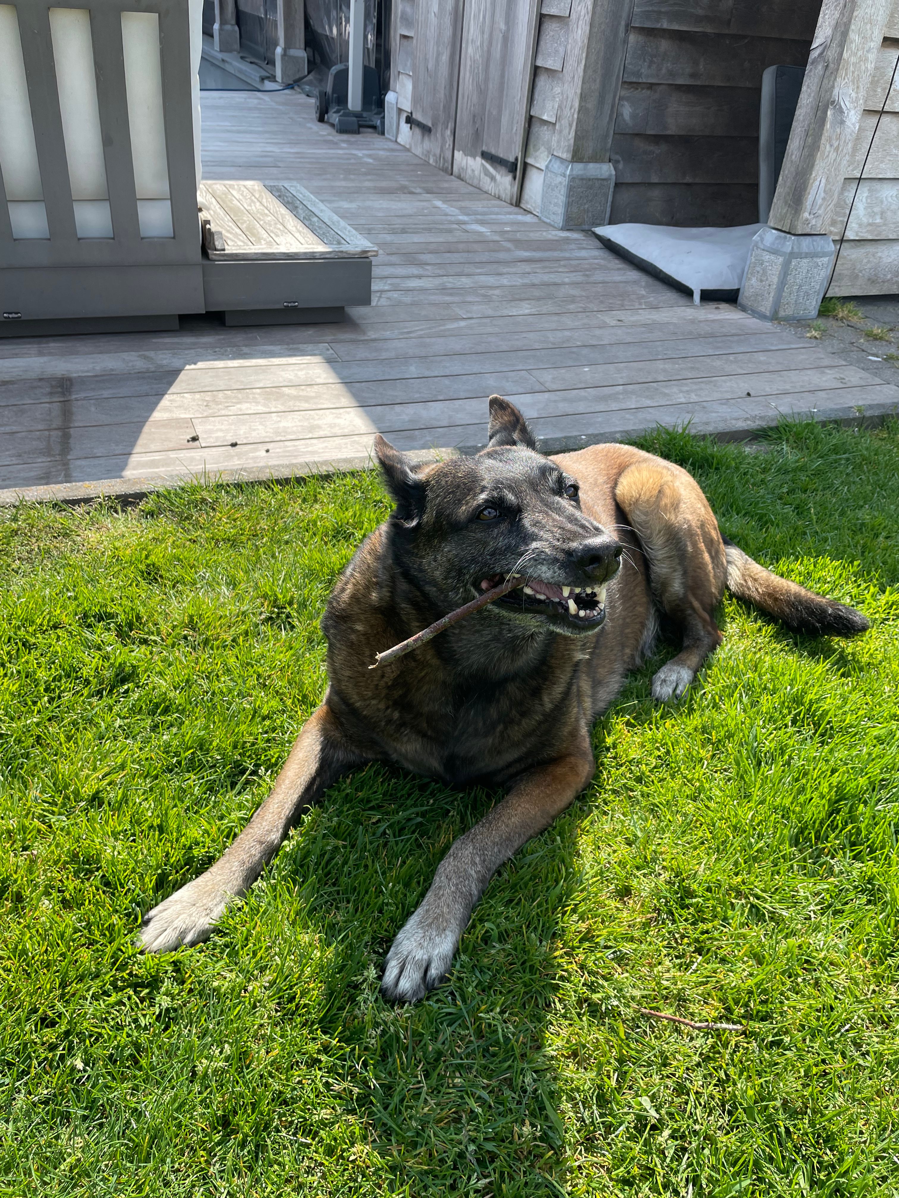 image-10