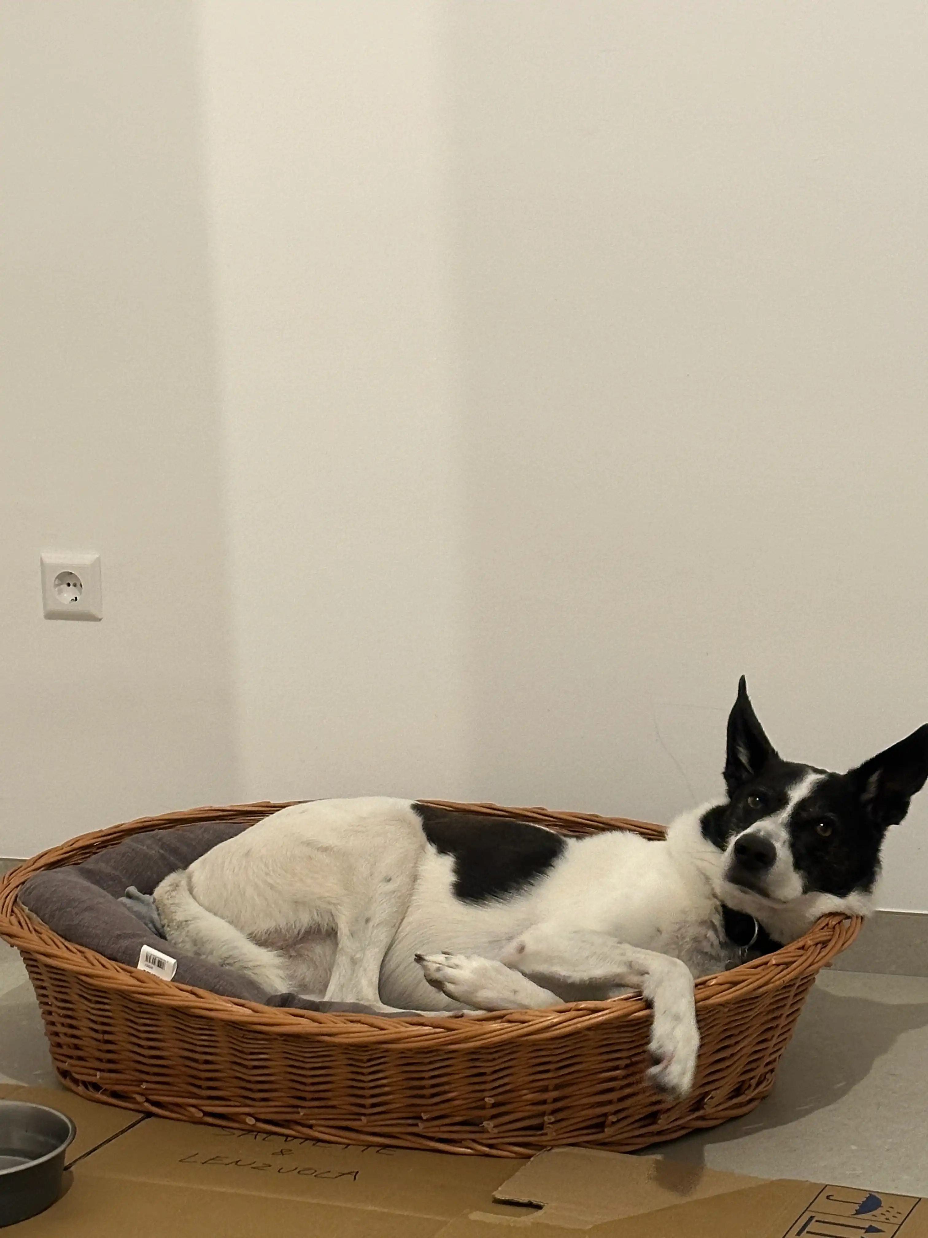 image-13
