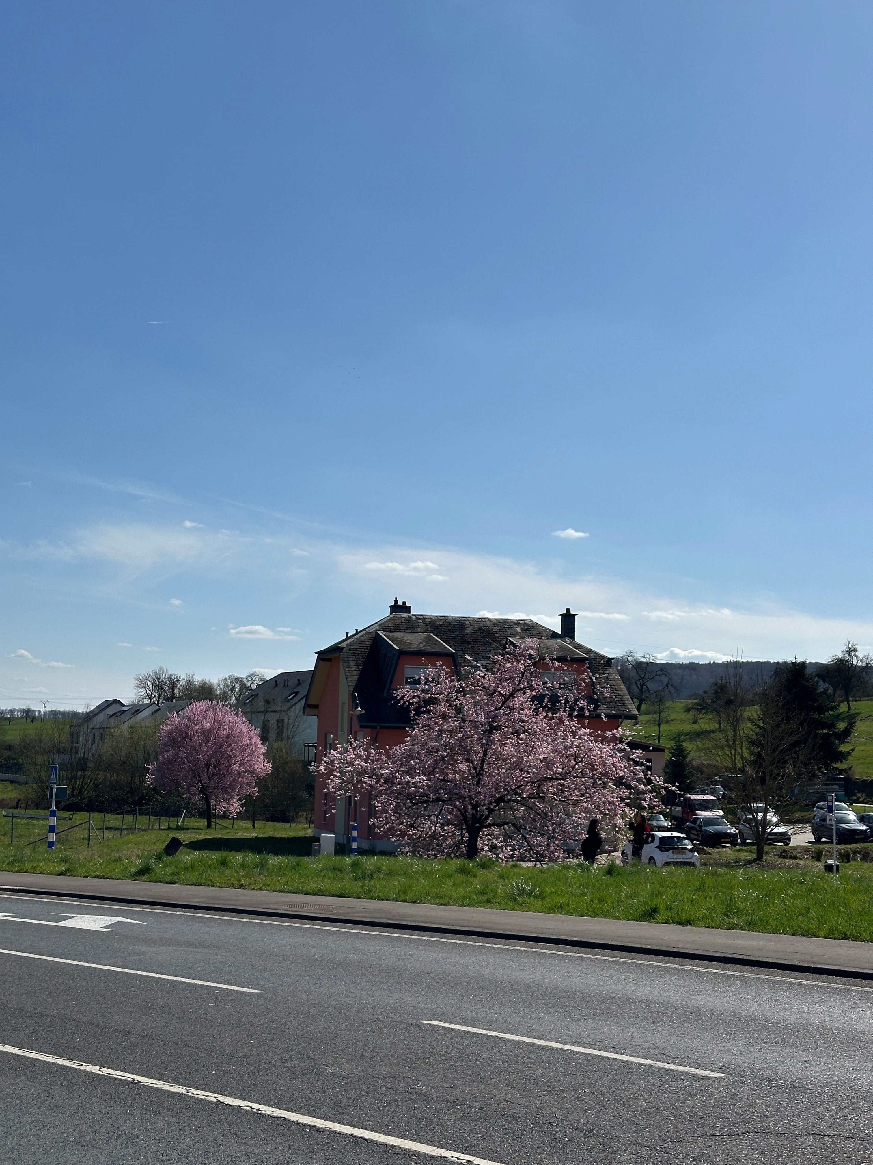 image-20