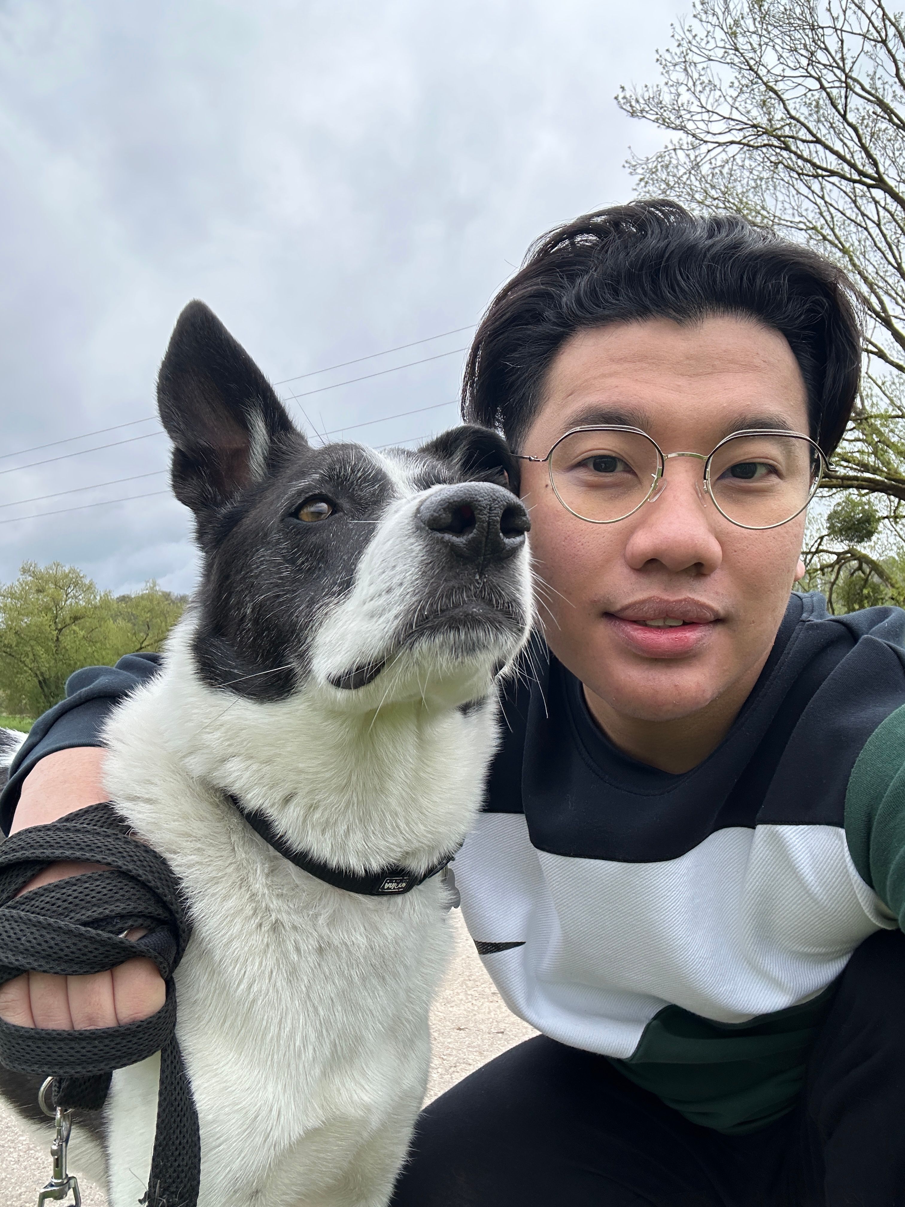 image-10