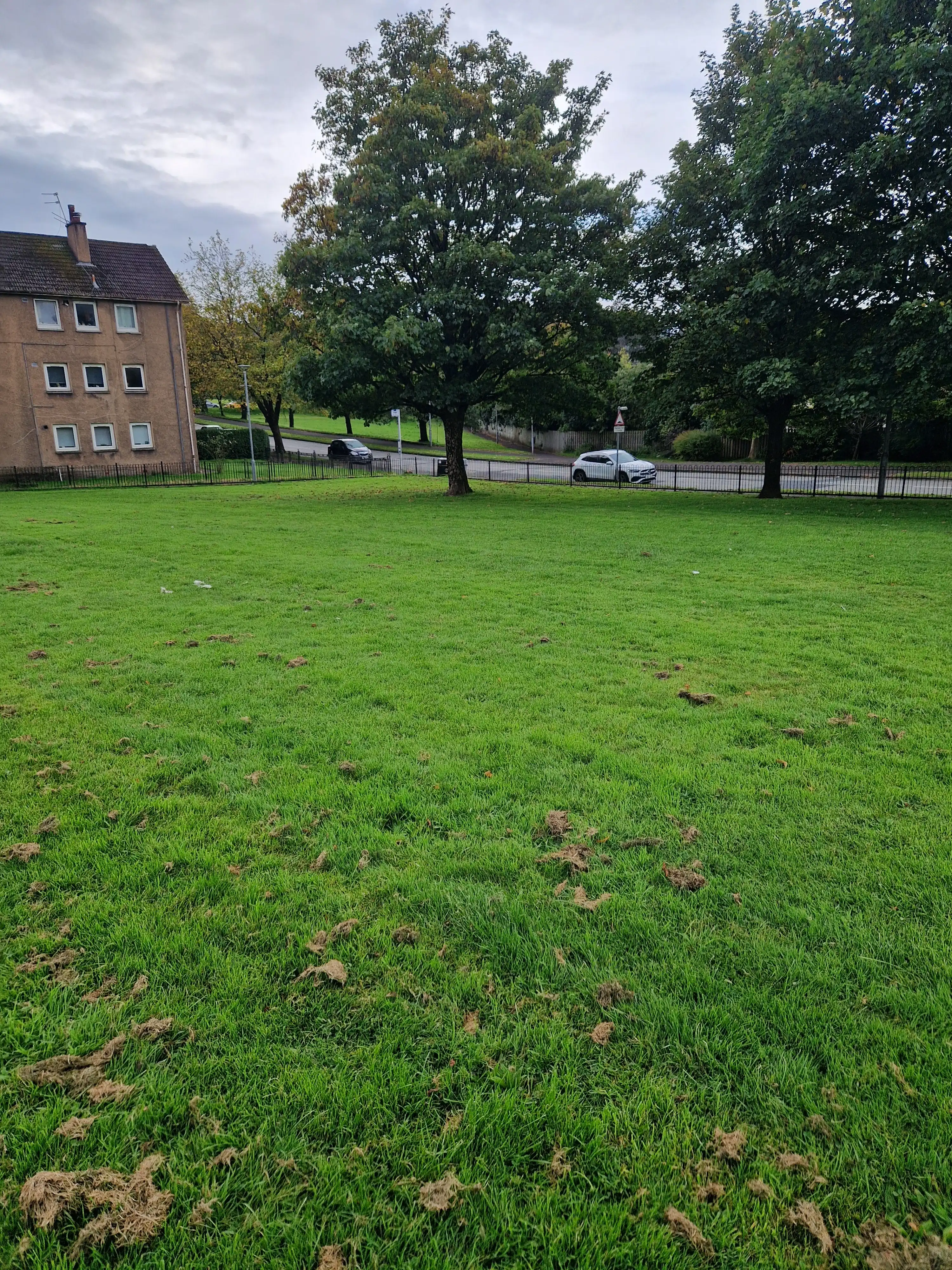 image-8