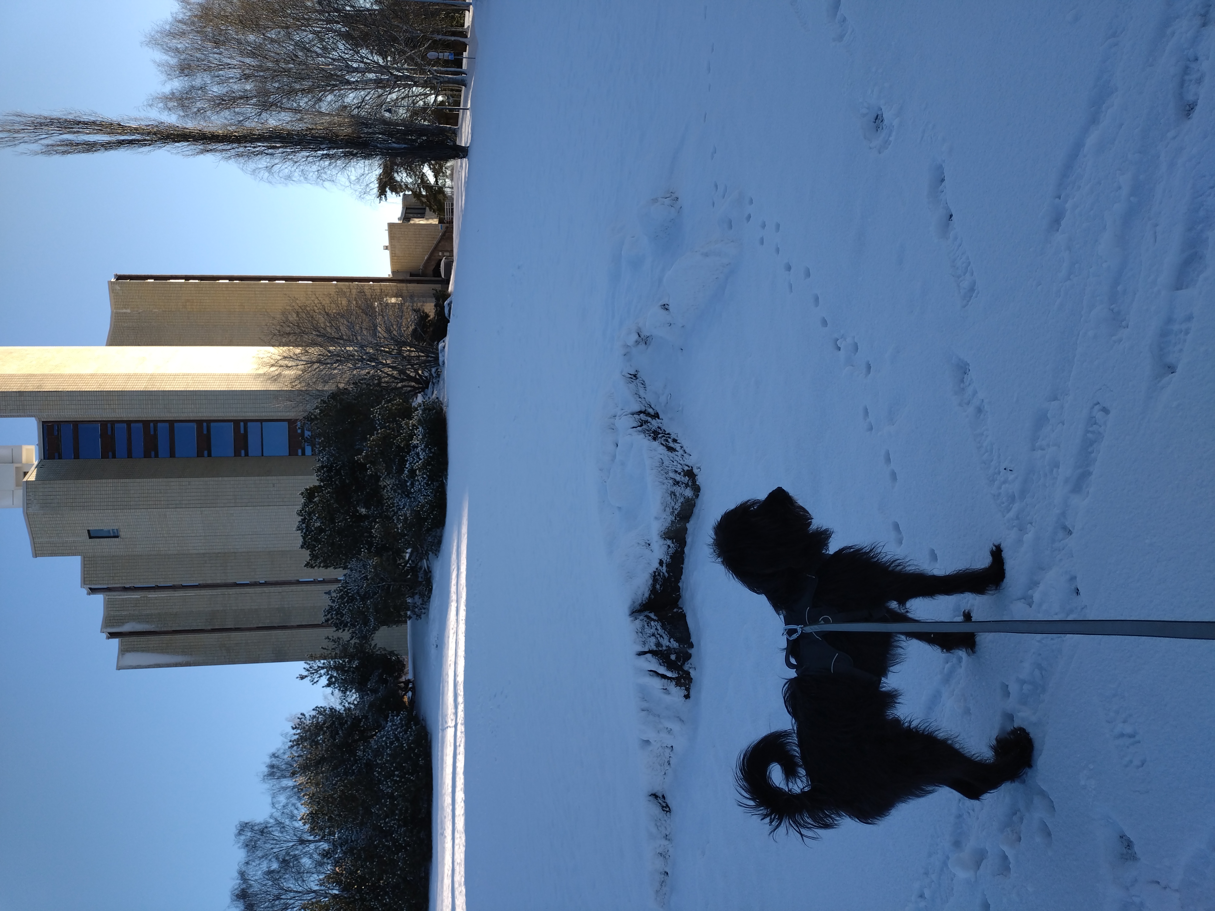 image-13
