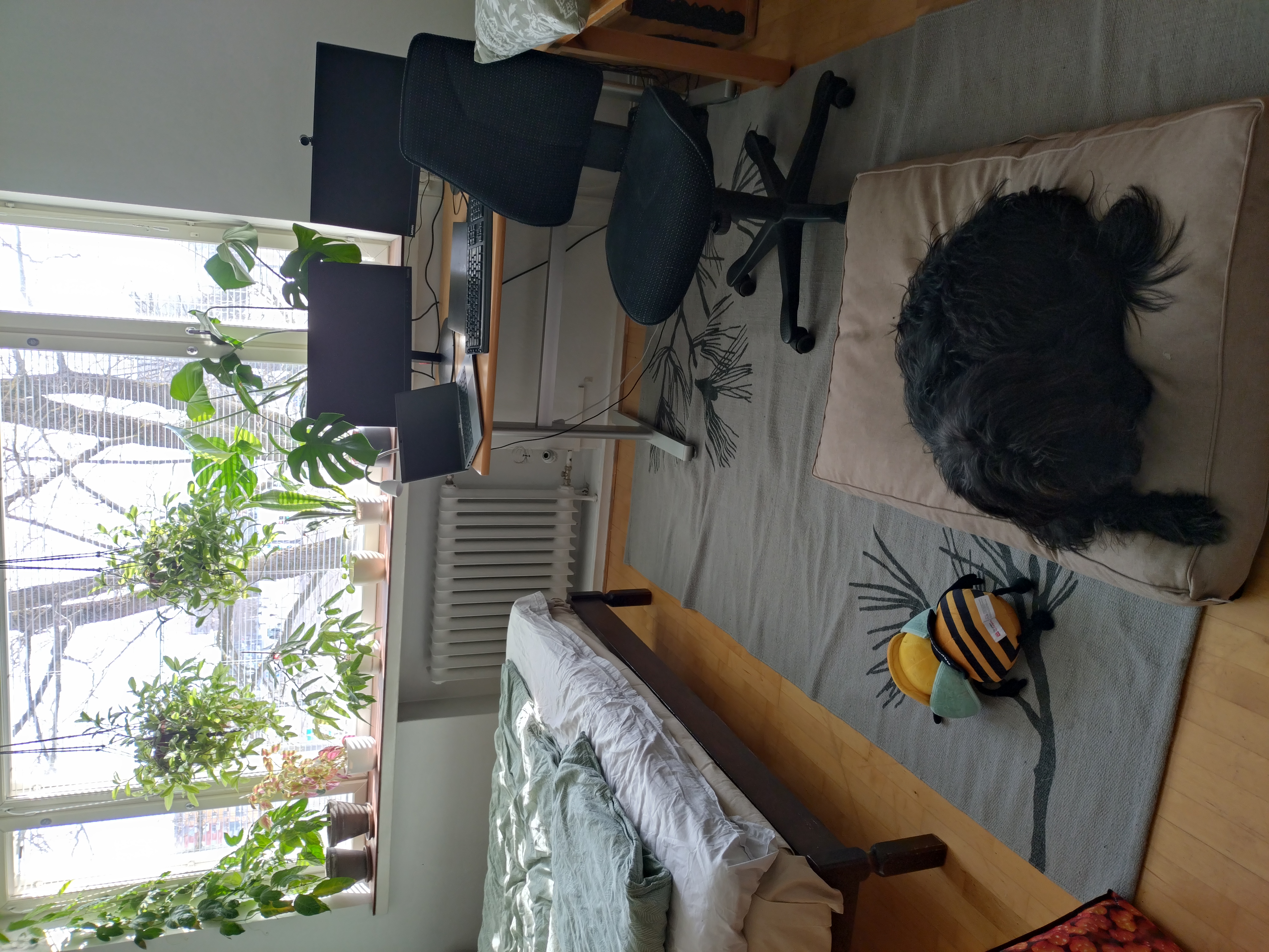 image-2