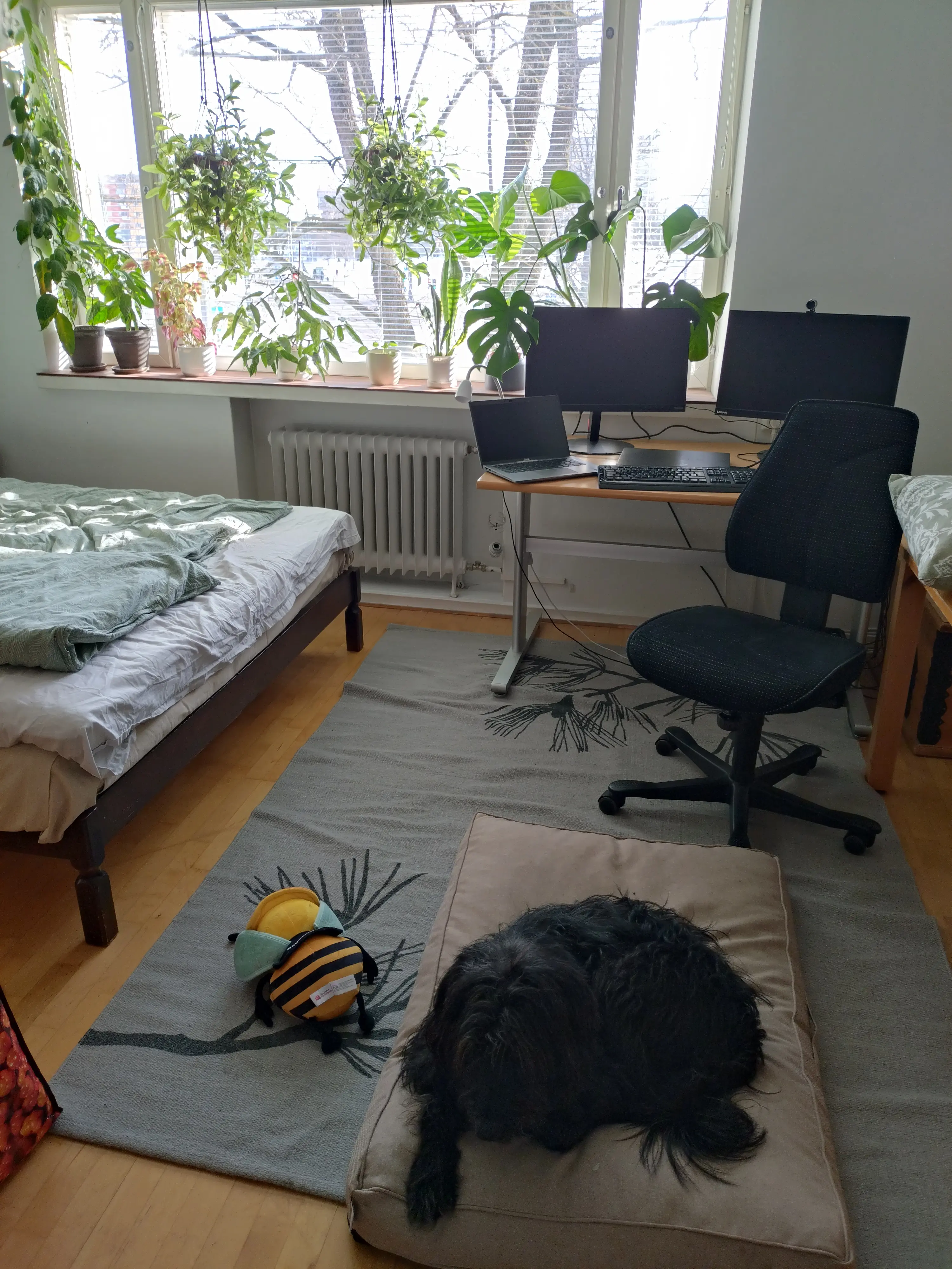 image-2