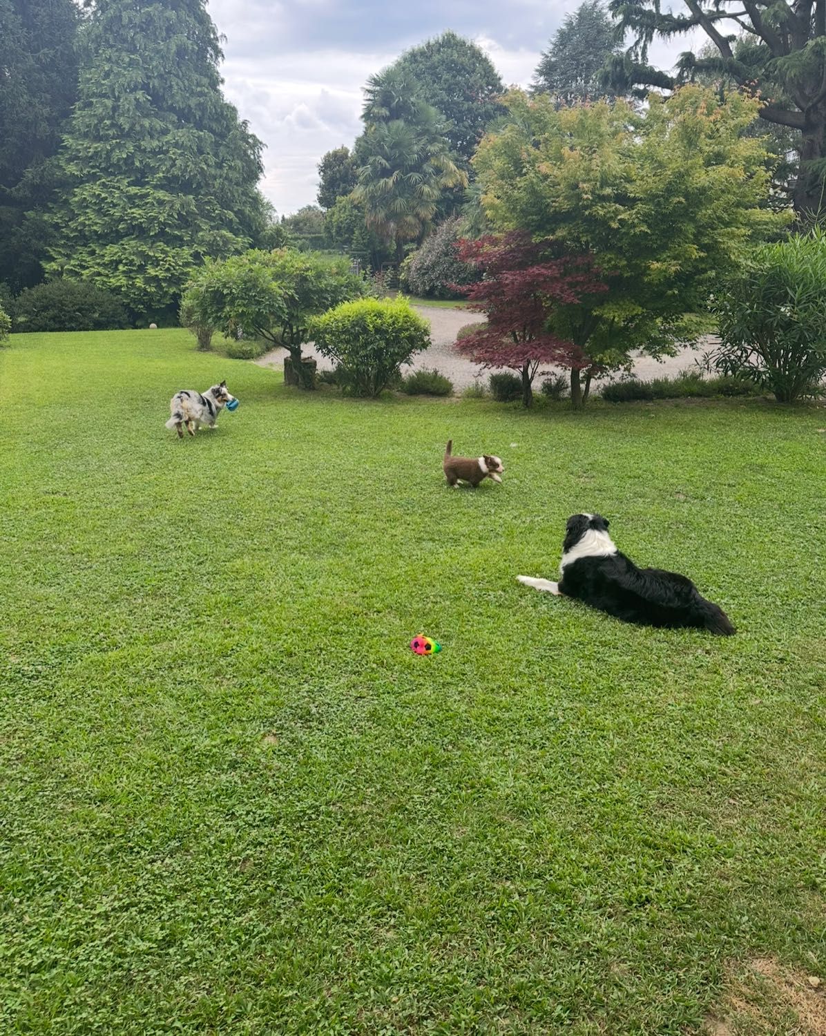 image-11