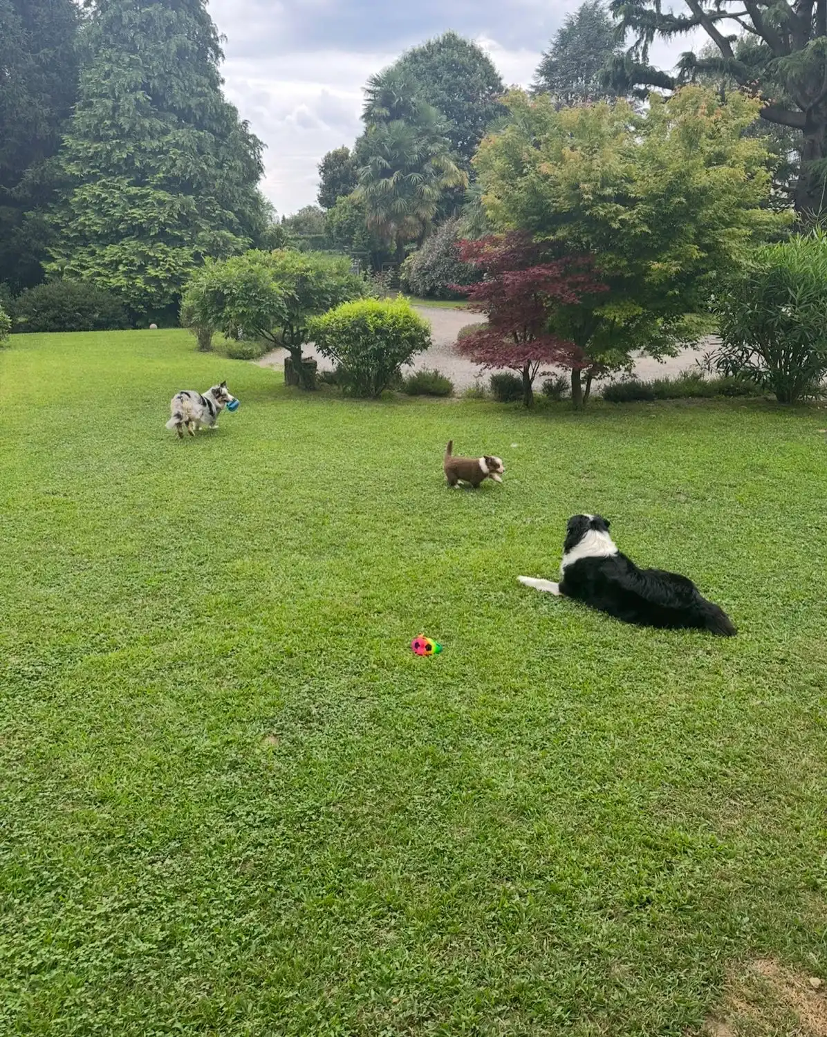 image-11
