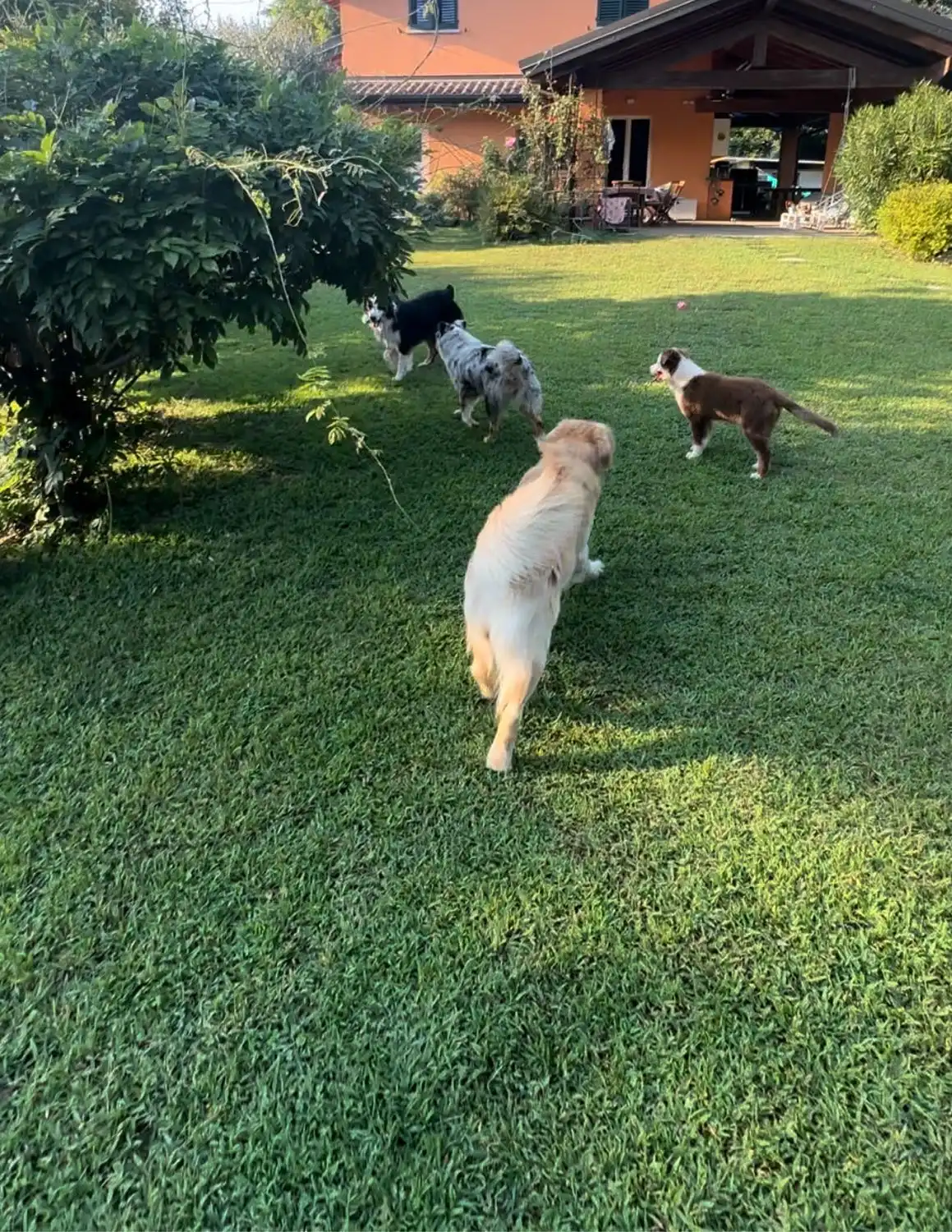 image-8