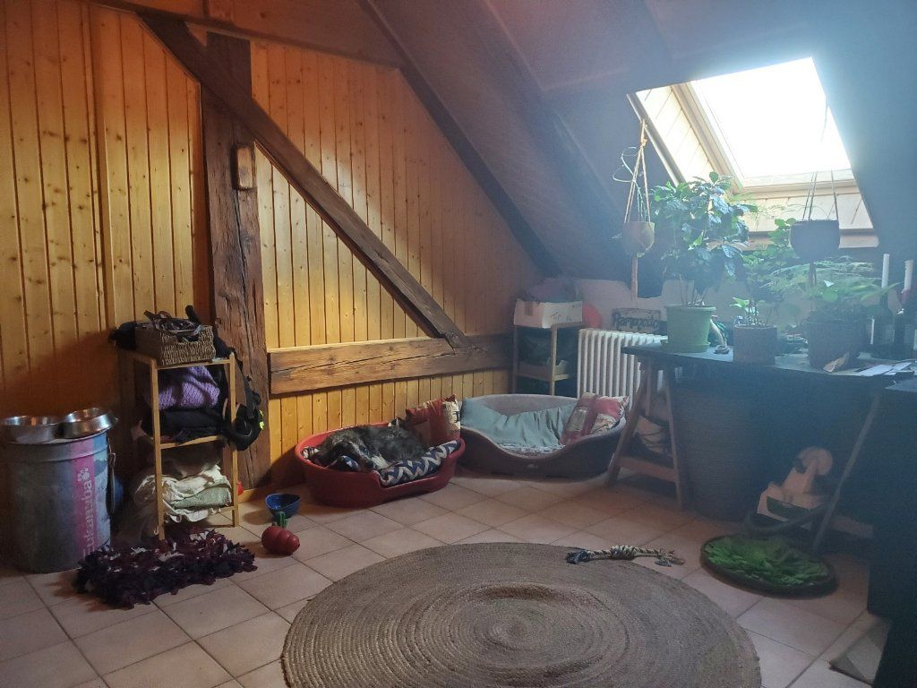 image-40
