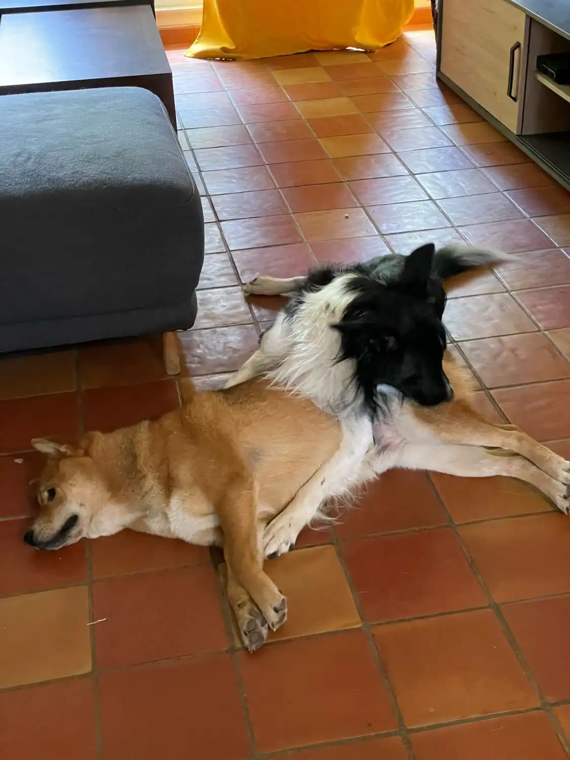 image-5