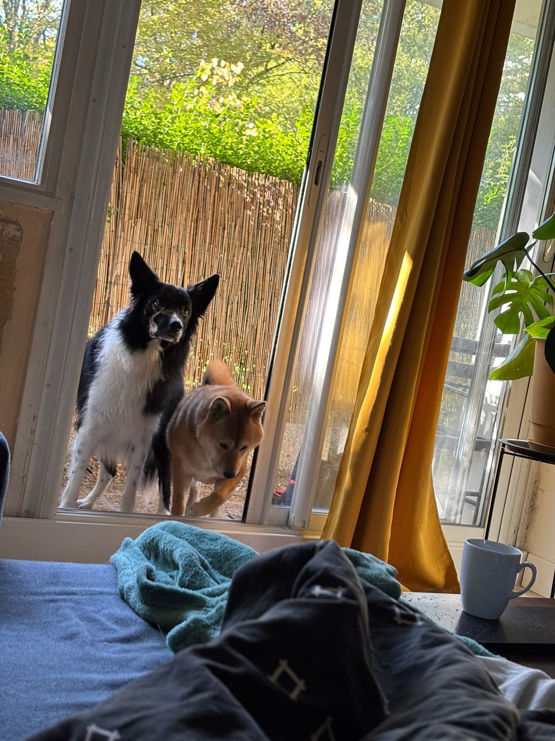 image-6