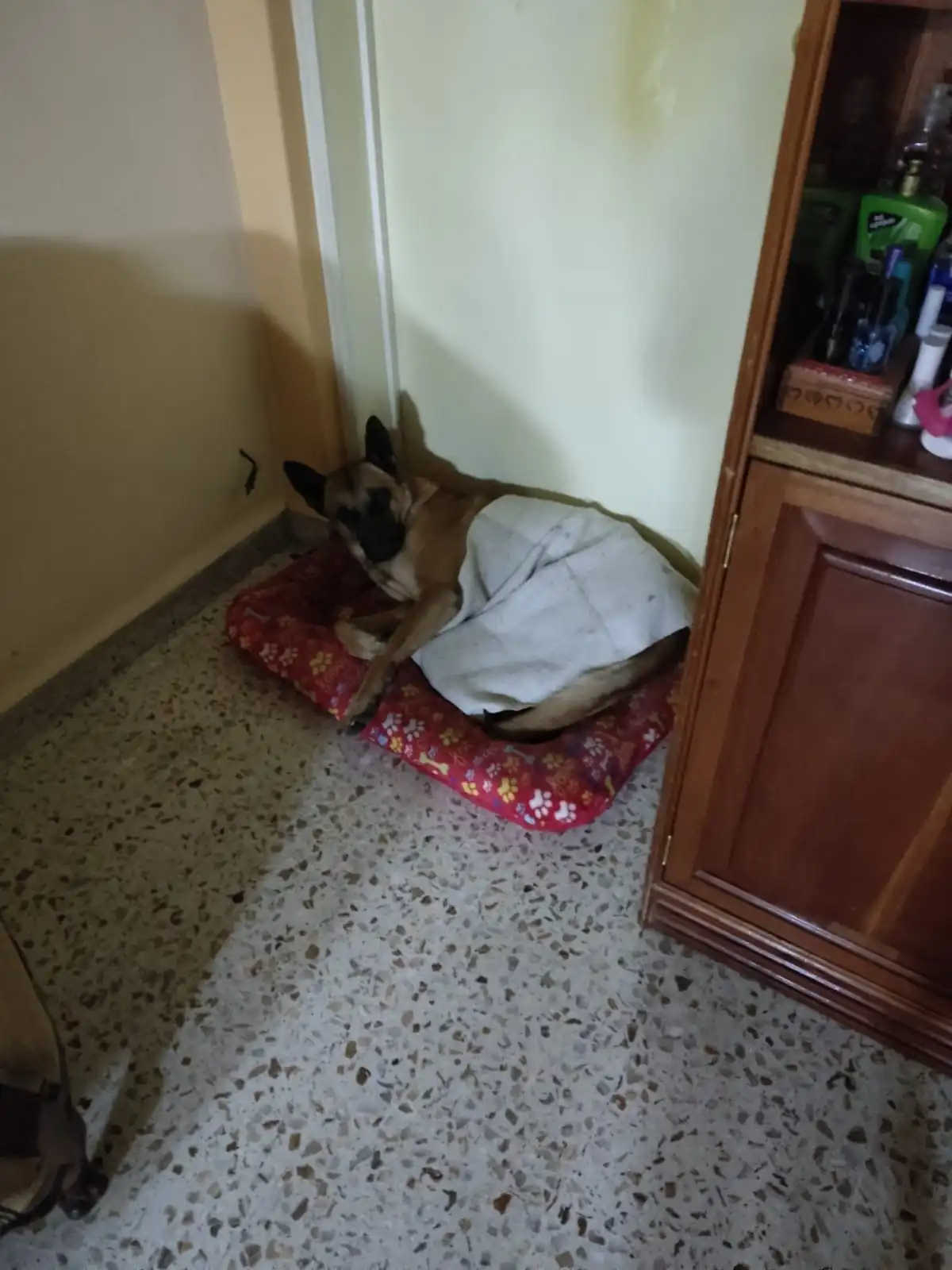 image-7