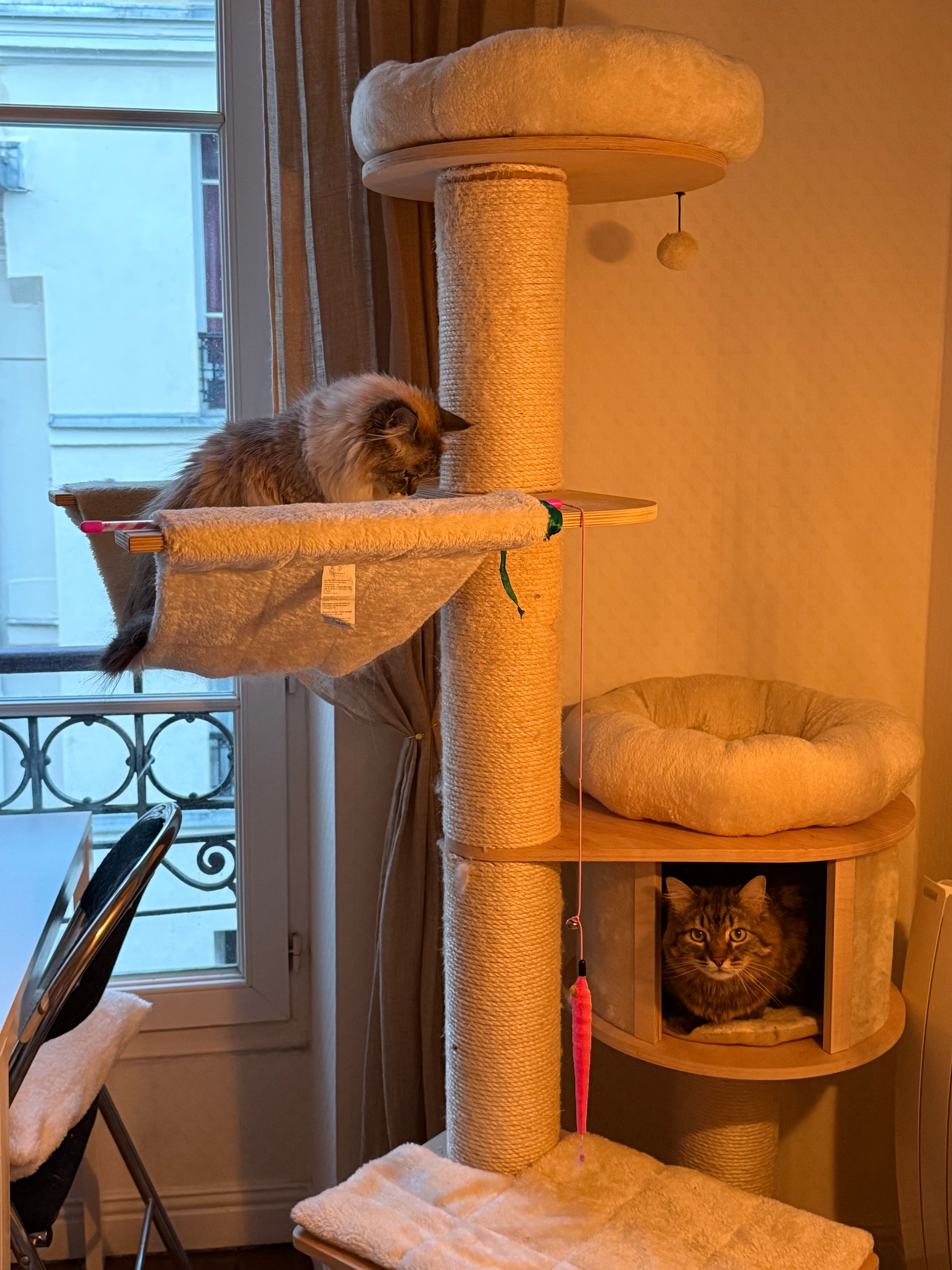 image-14