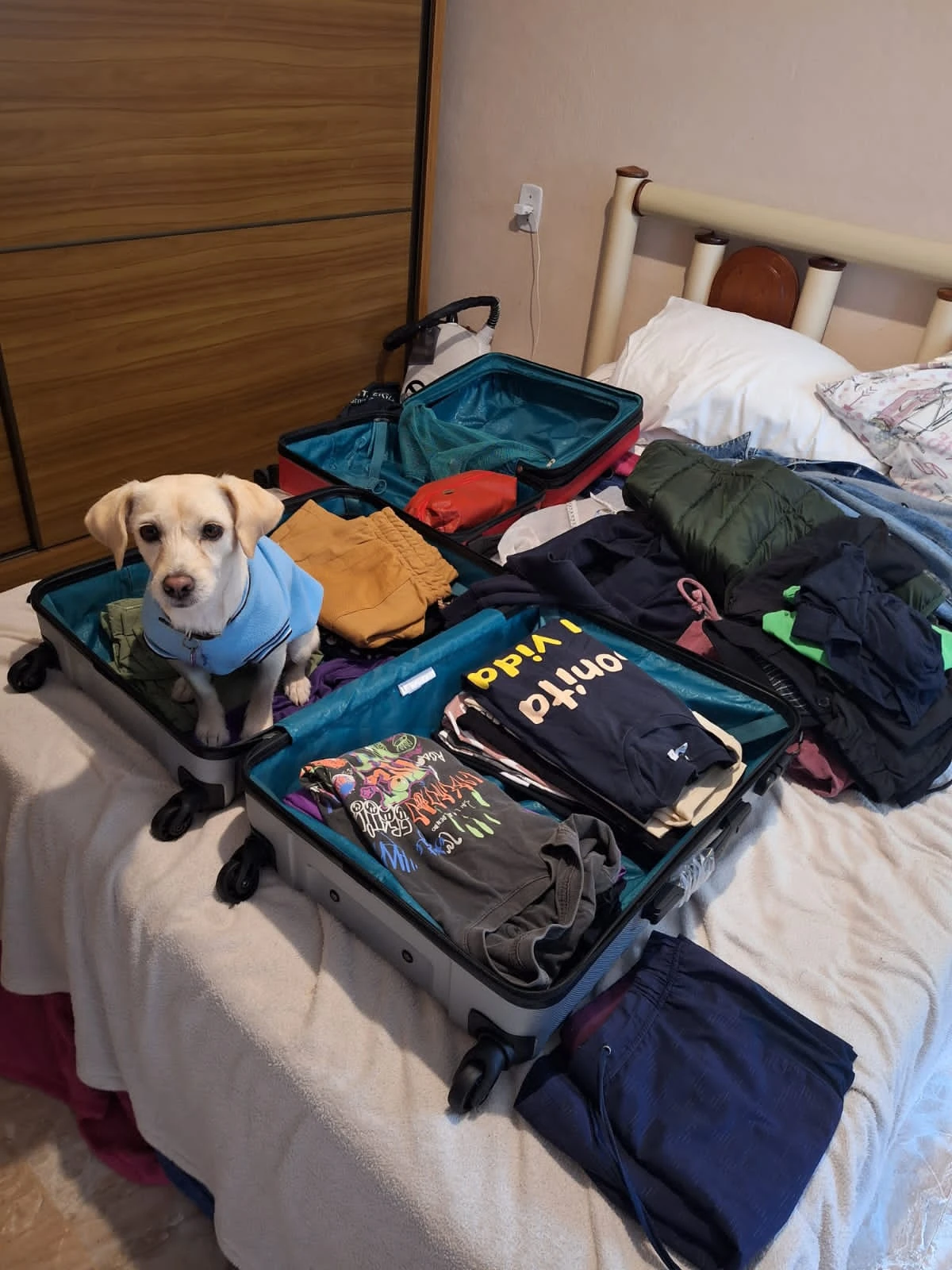 image-5