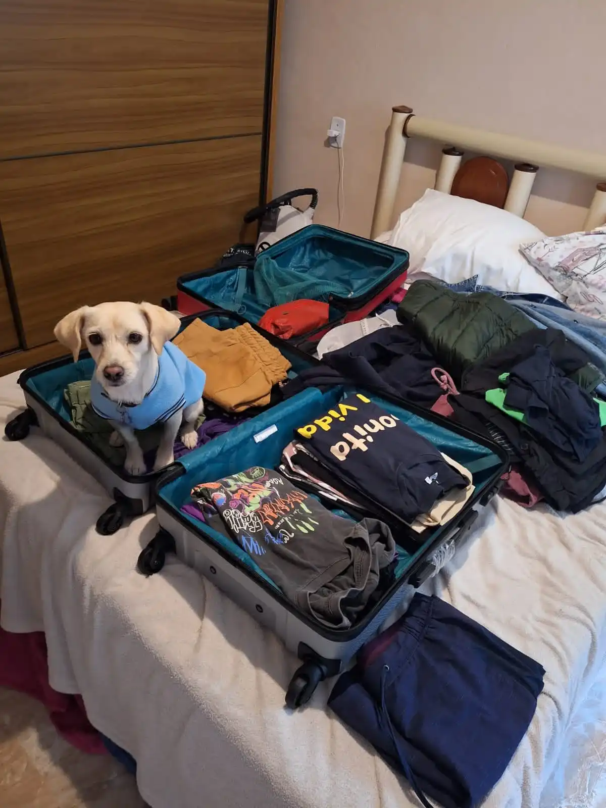 image-5