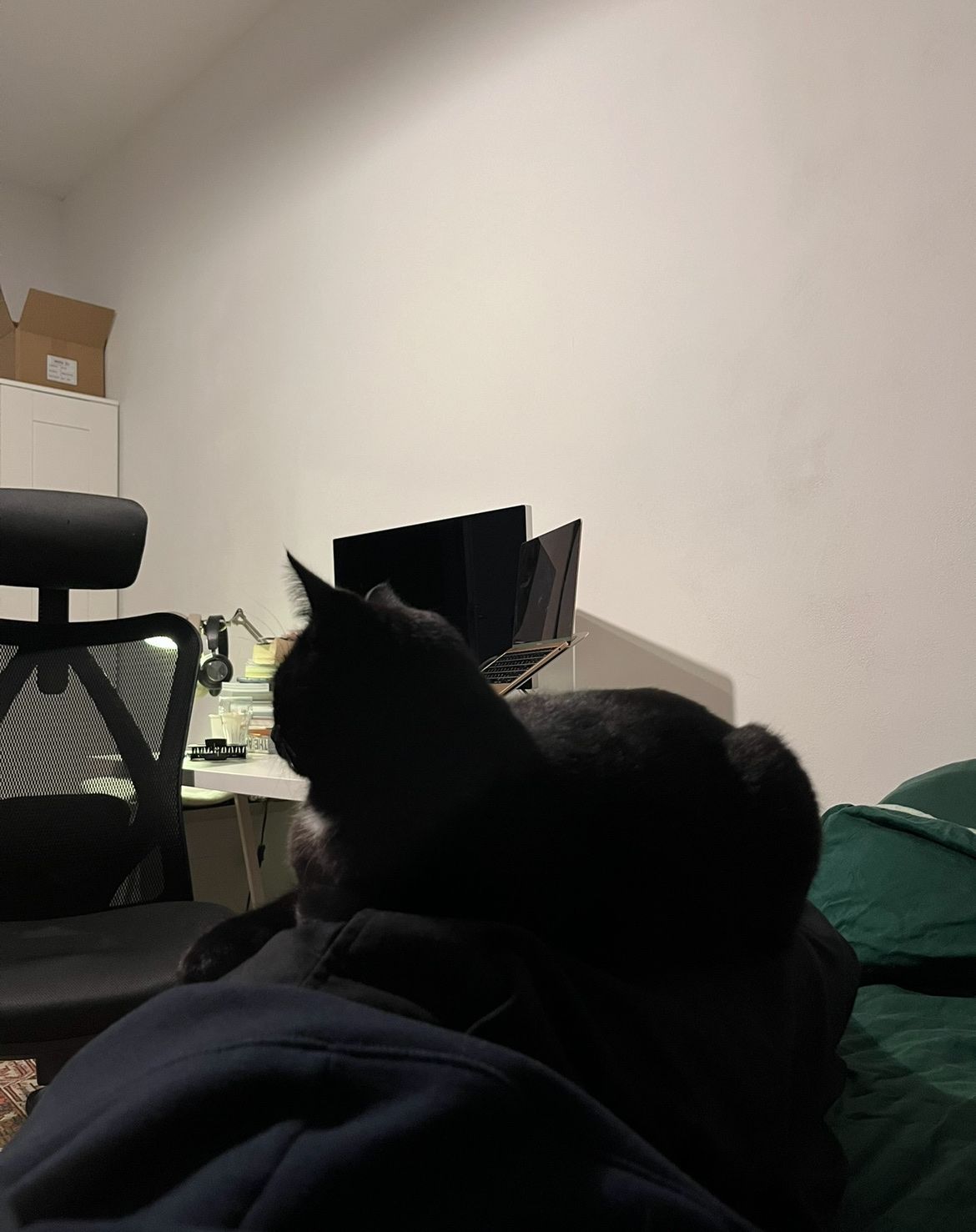 image-12