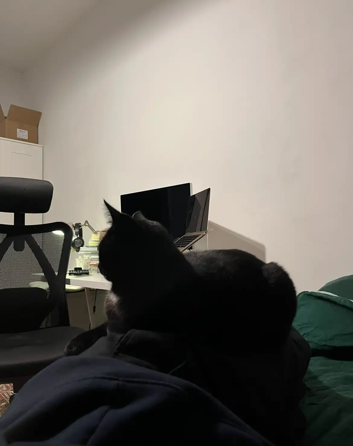 image-12