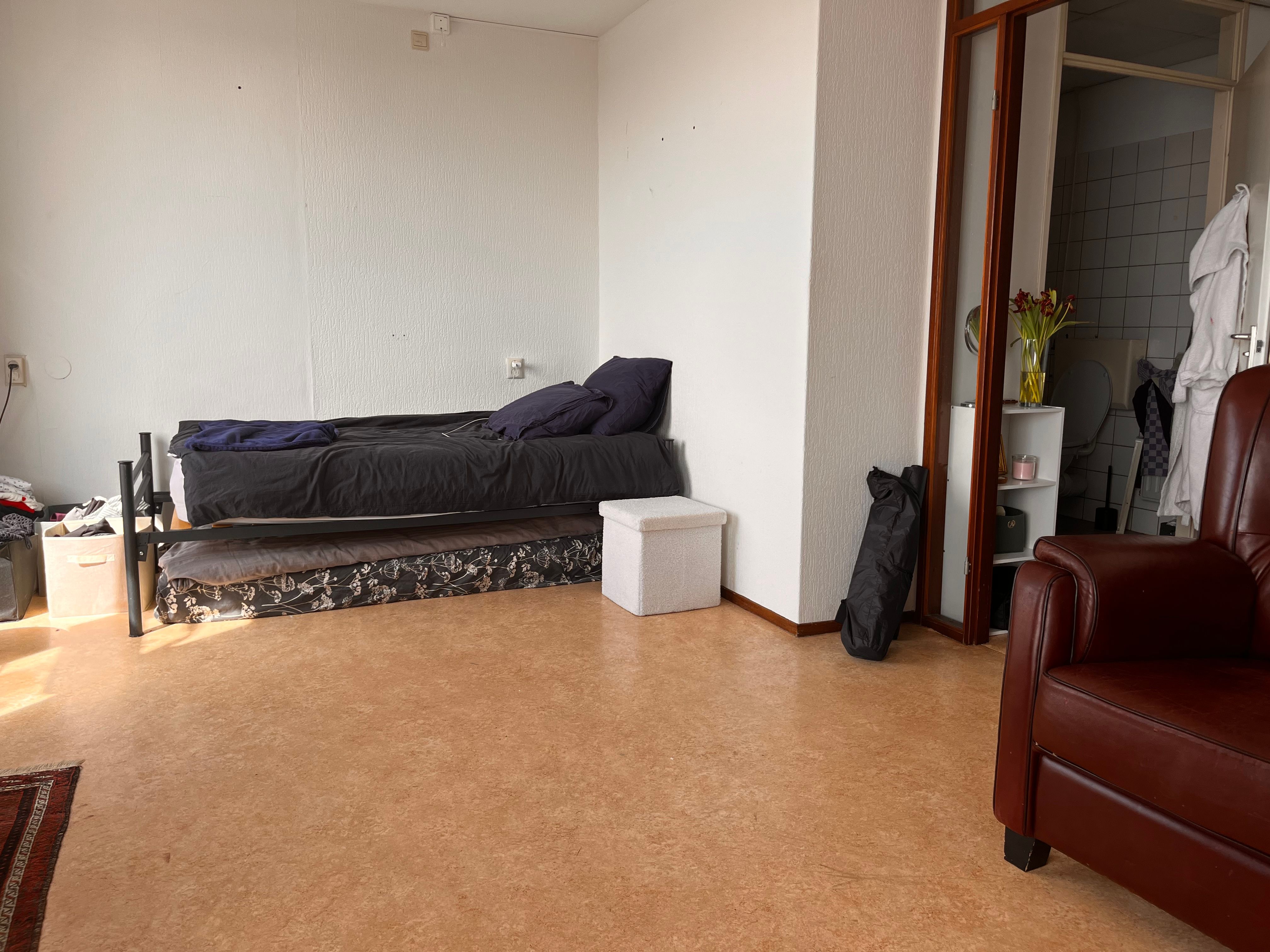 image-19