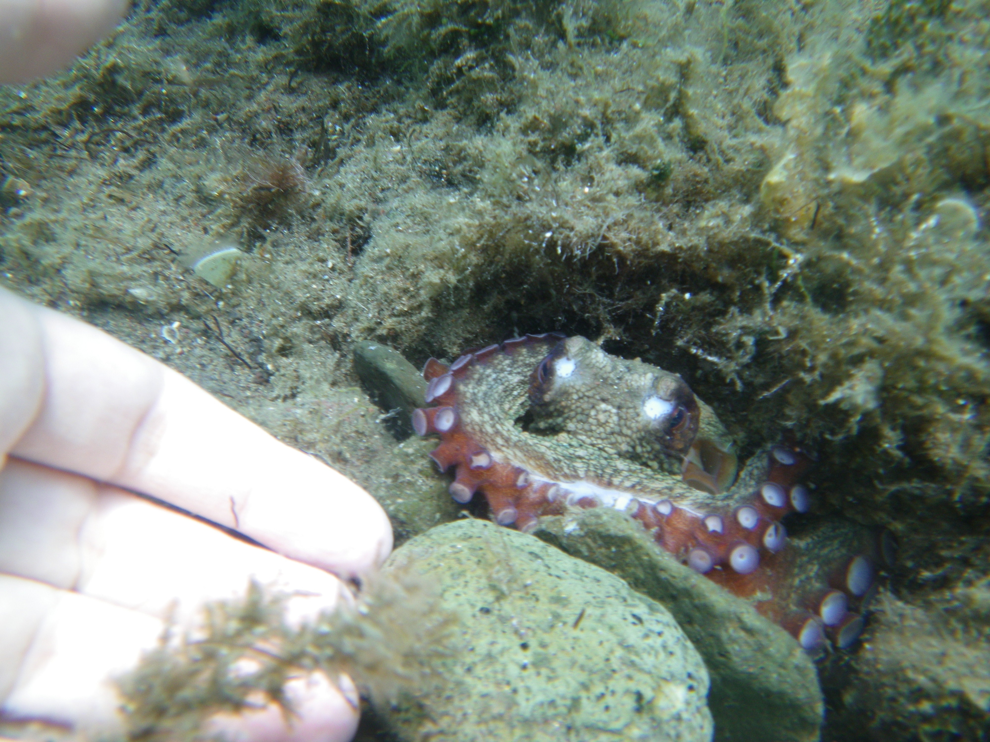 image-9