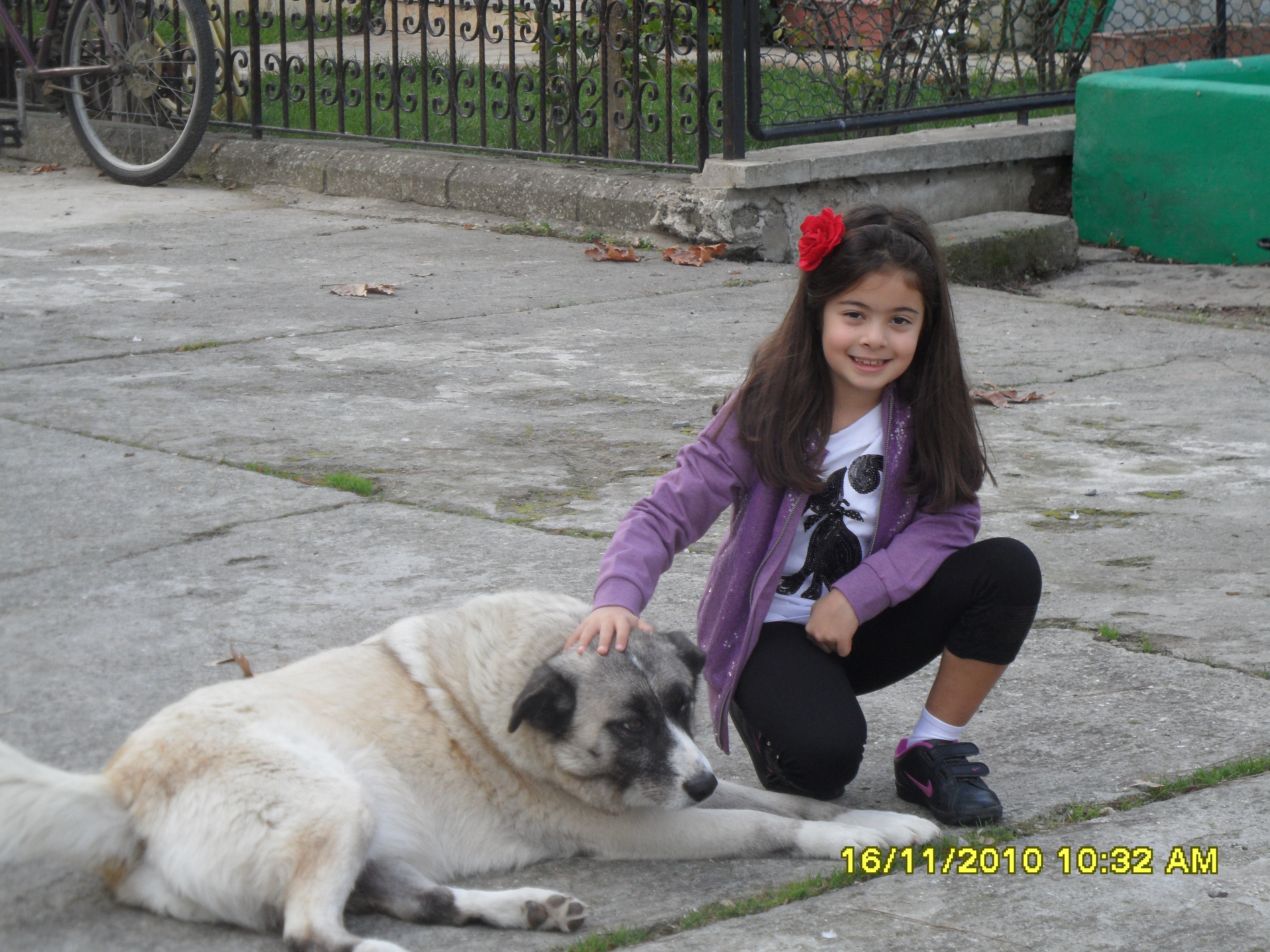 image-29