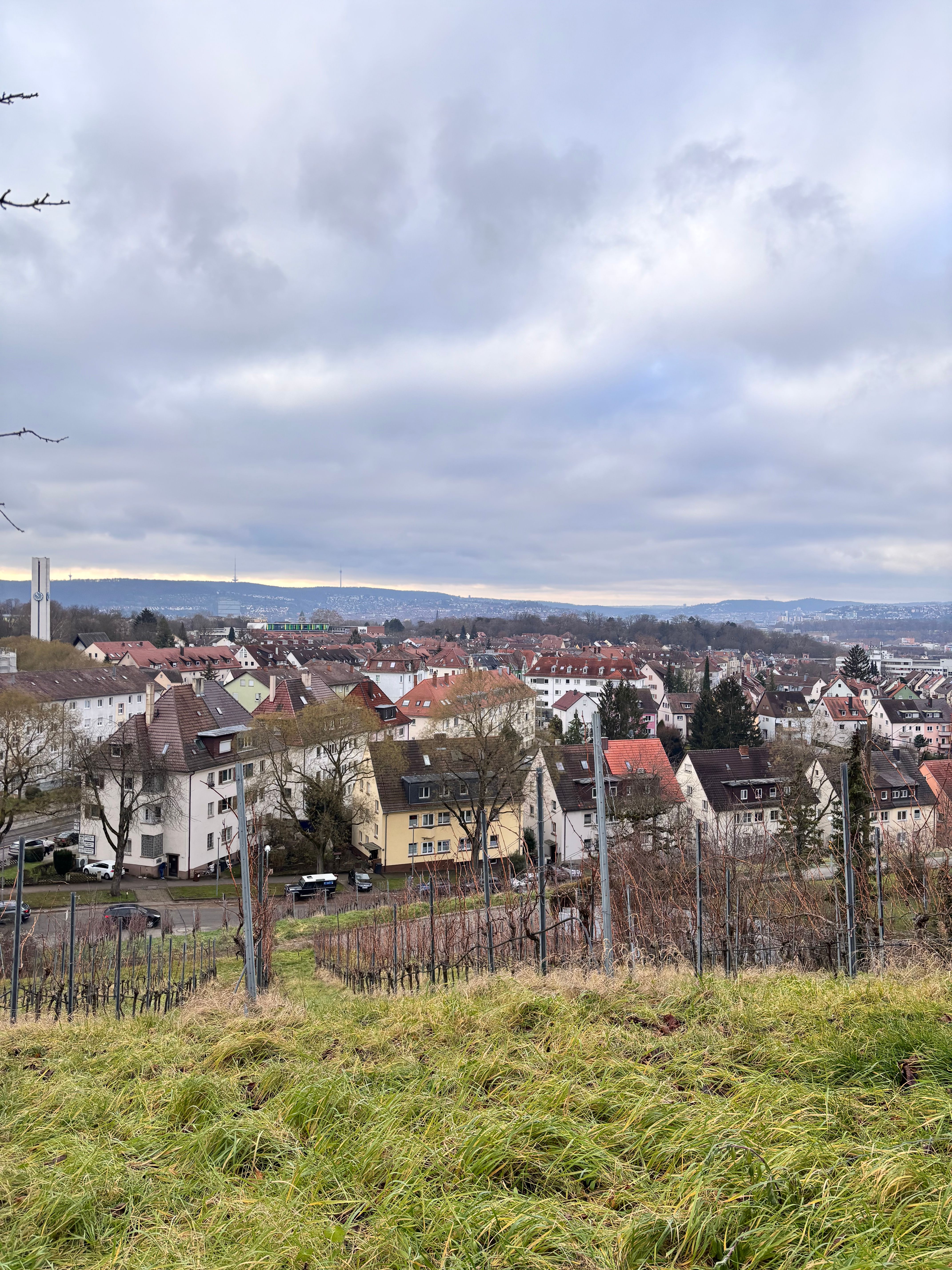 image-25