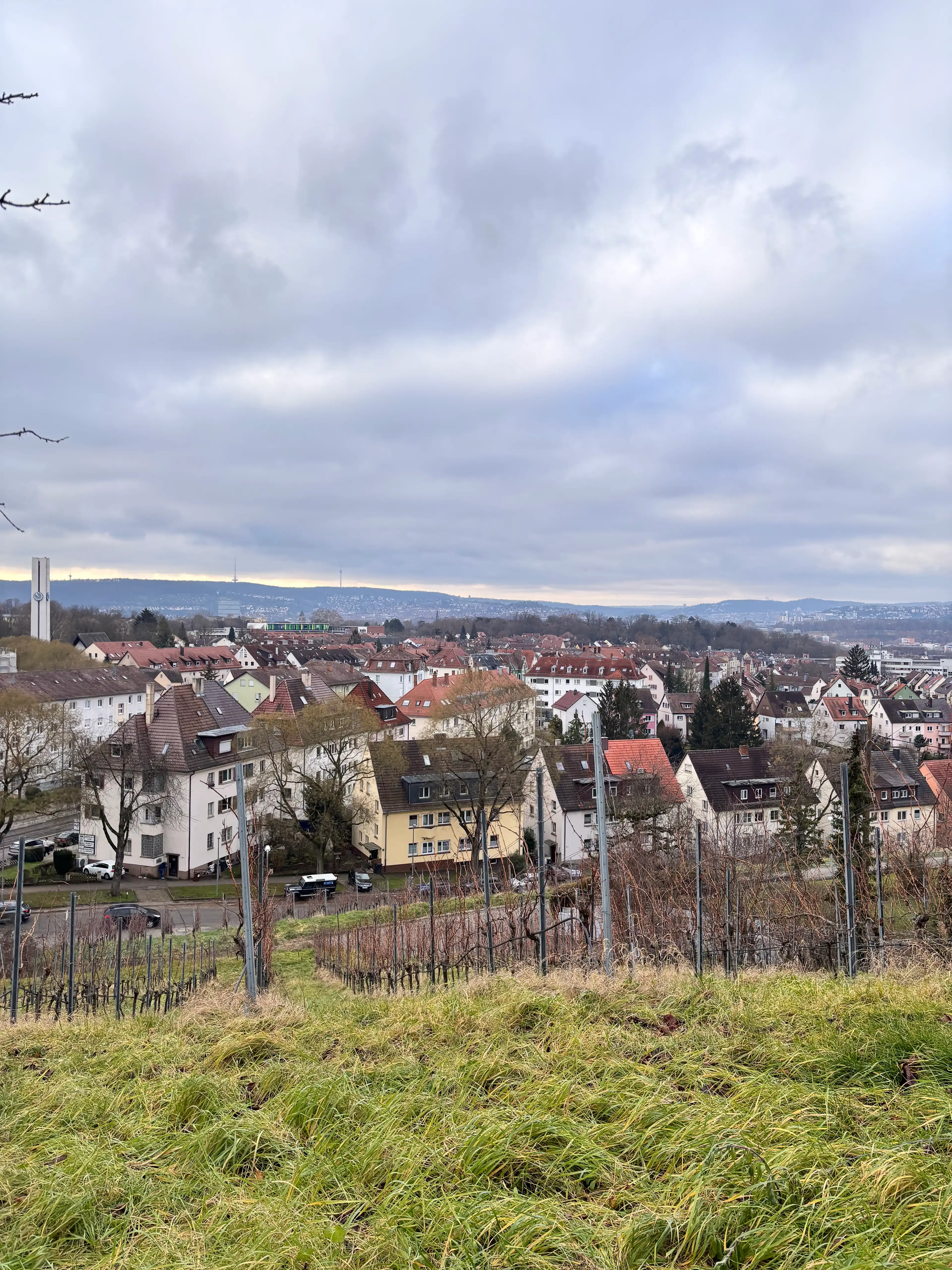 image-25