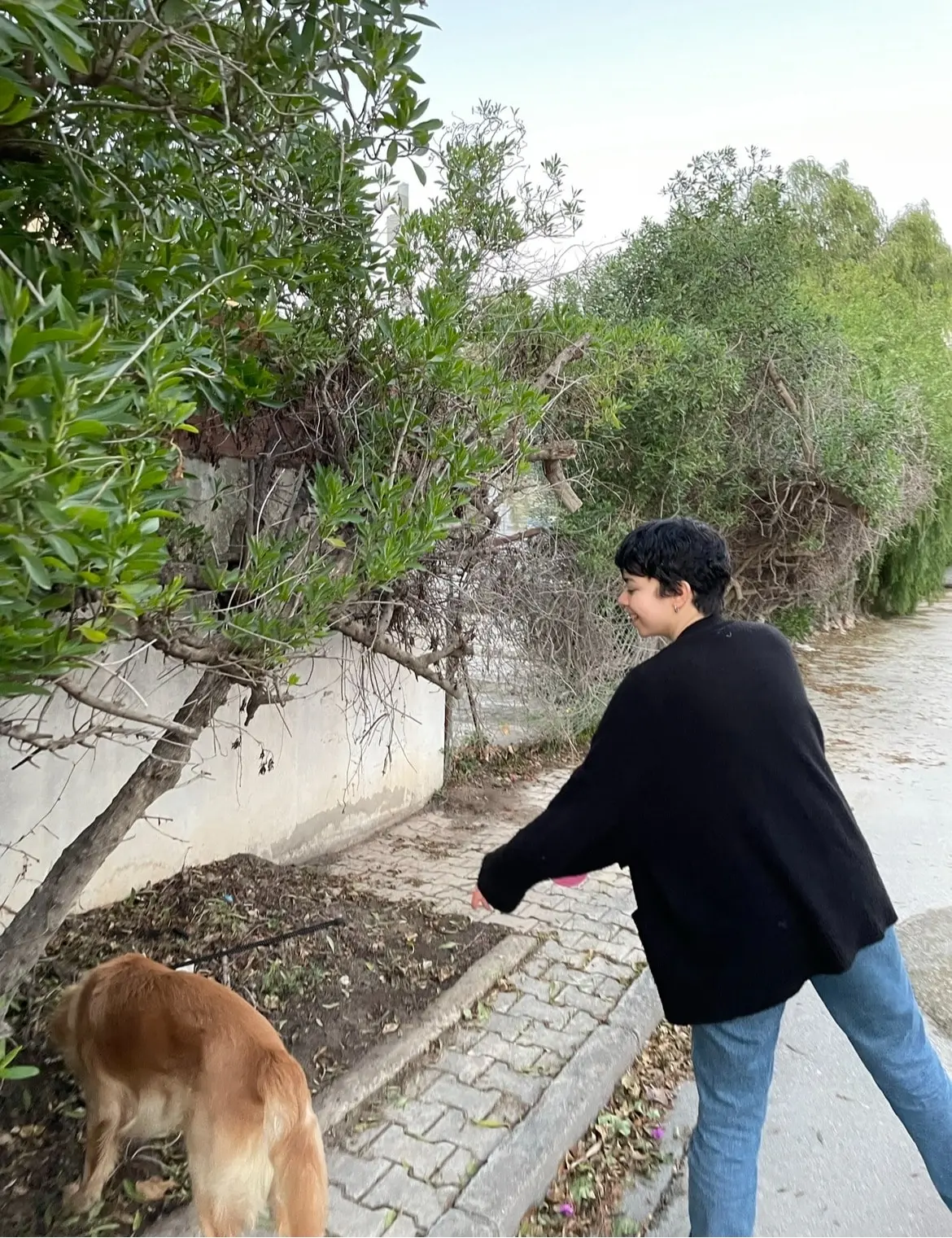 image-3