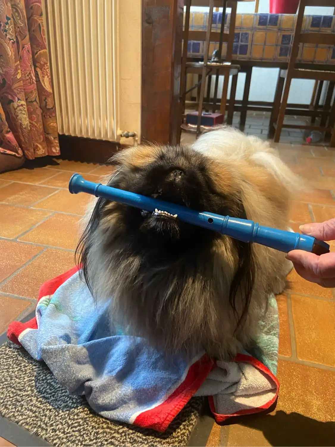 image-8