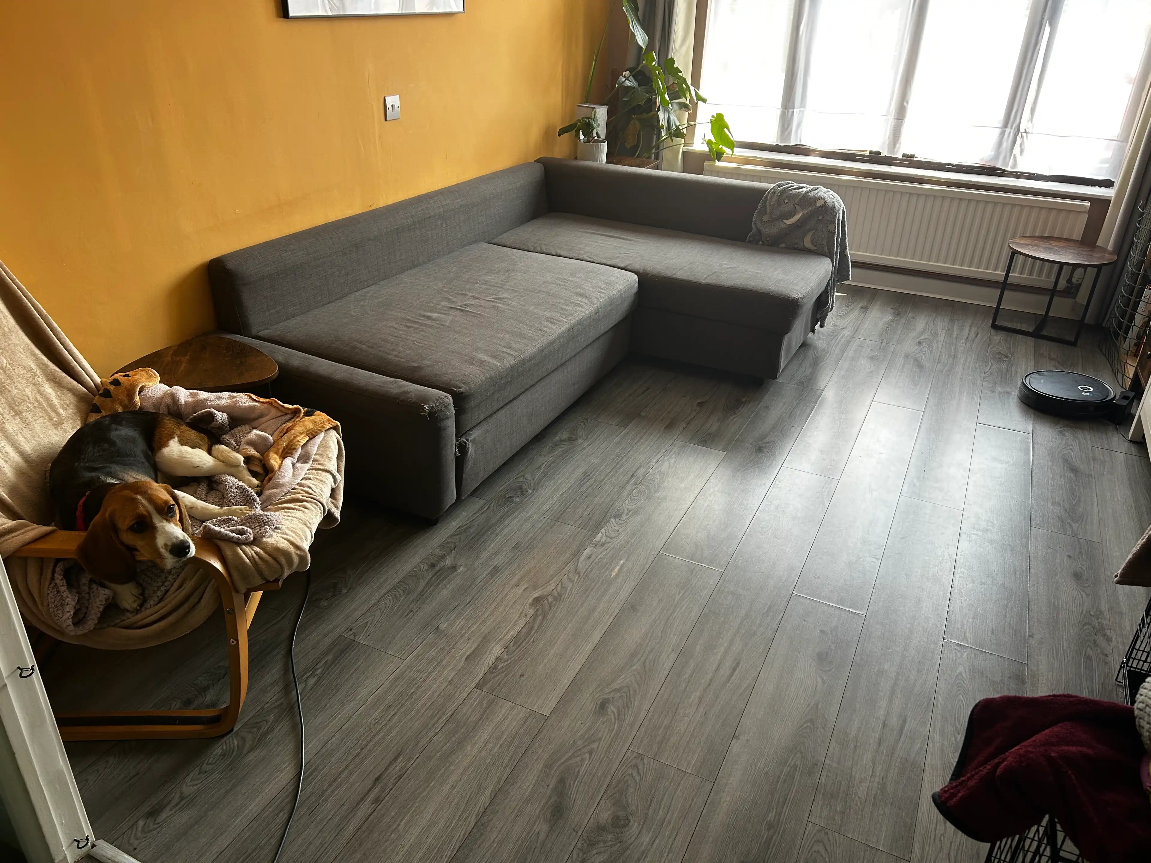 image-17