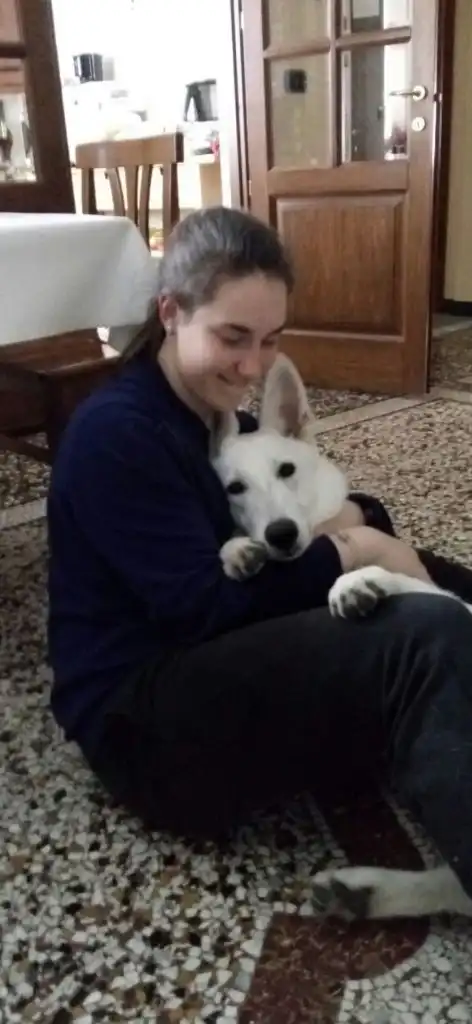 image-6
