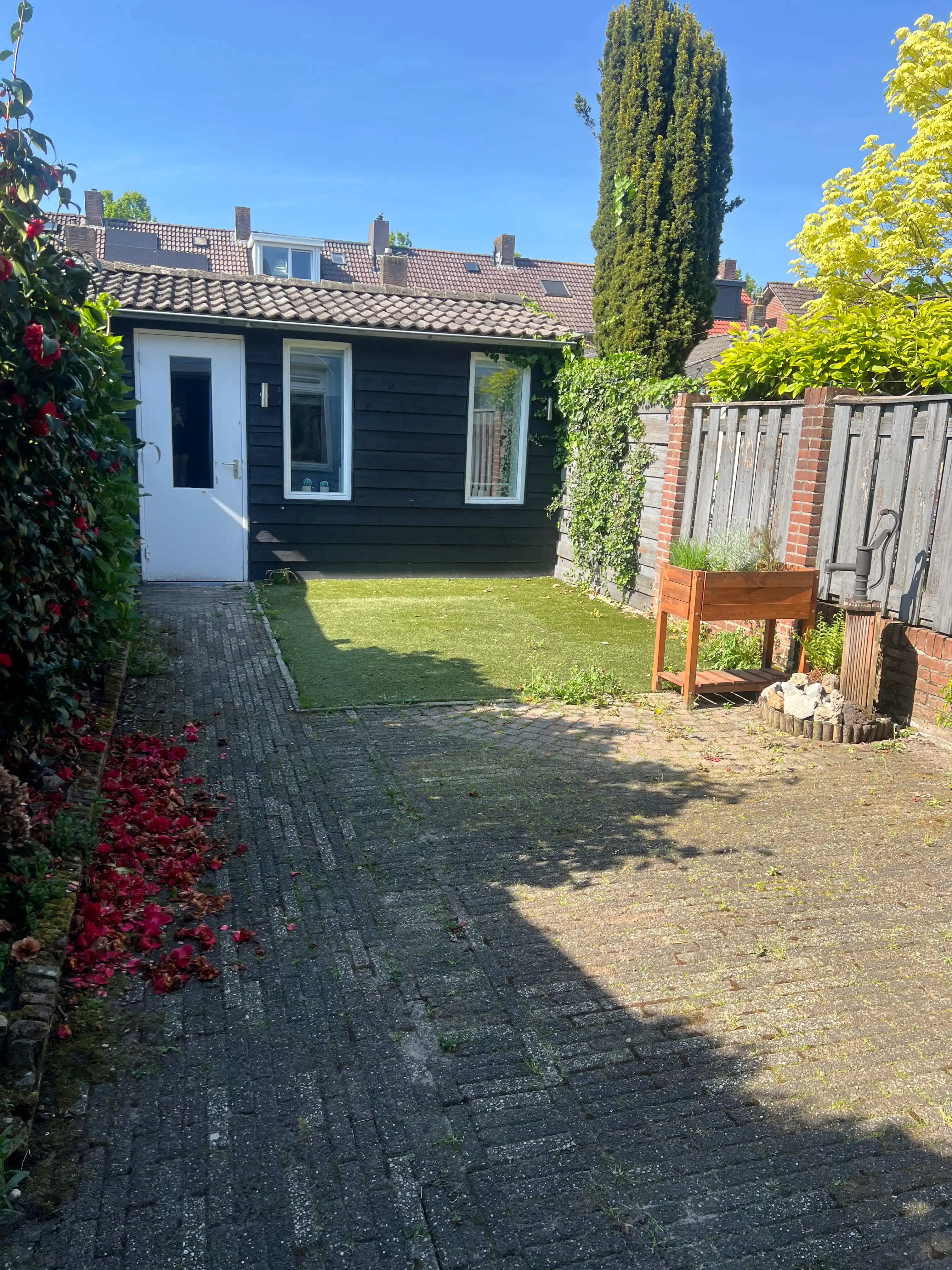 image-16