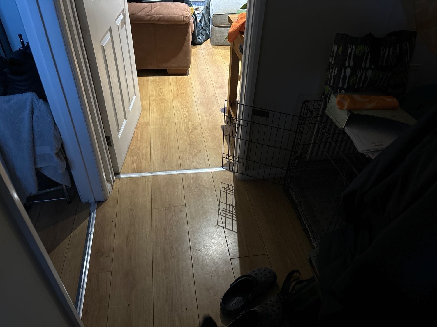image-7