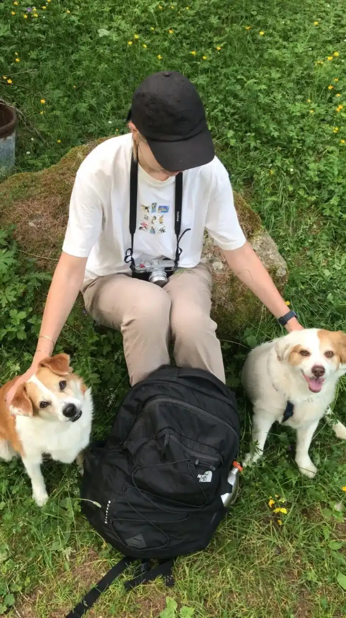 image-6