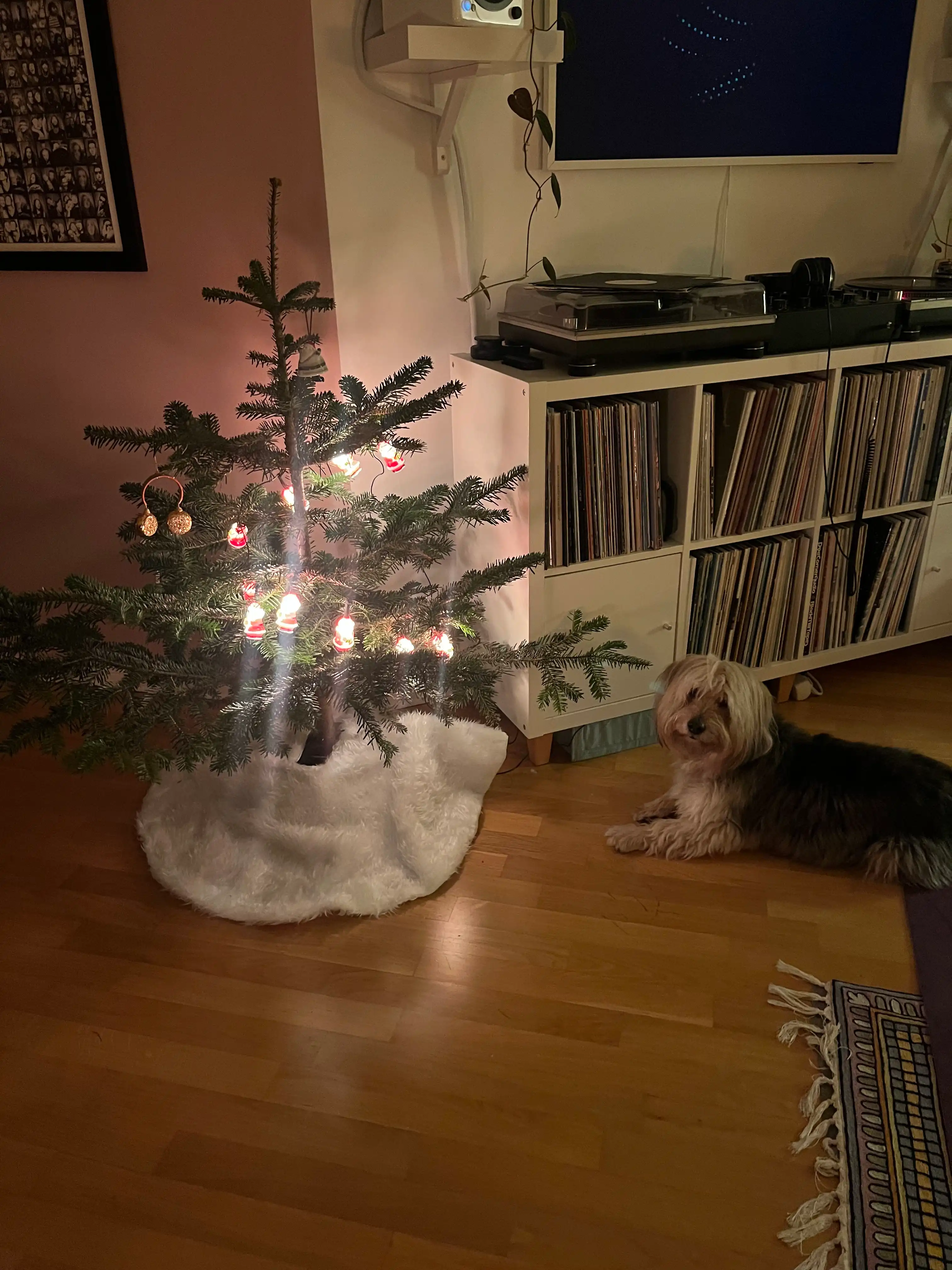 image-15