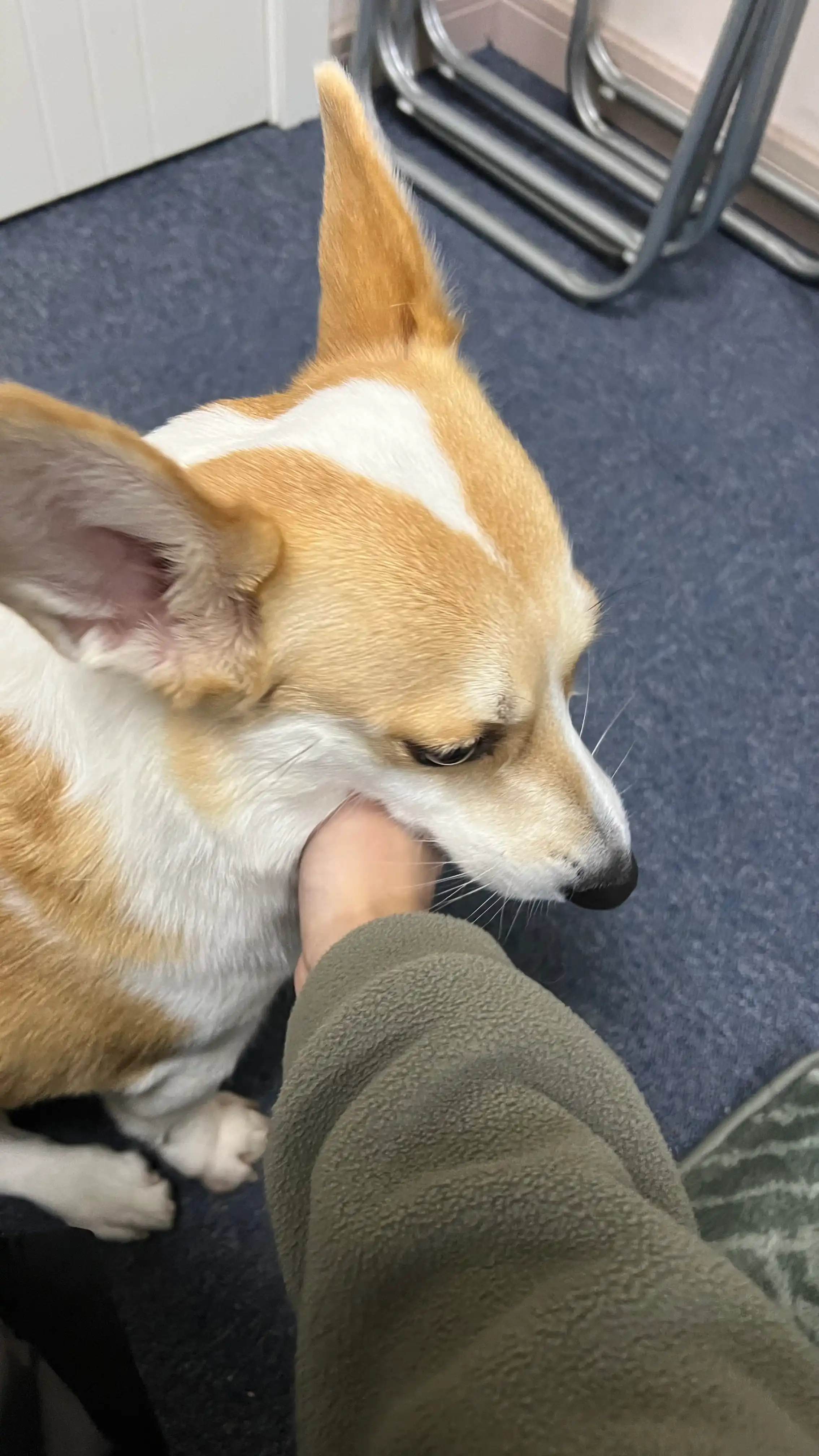 image-8