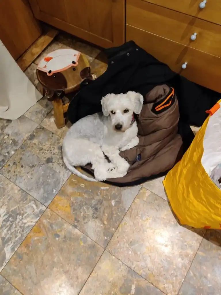 image-8