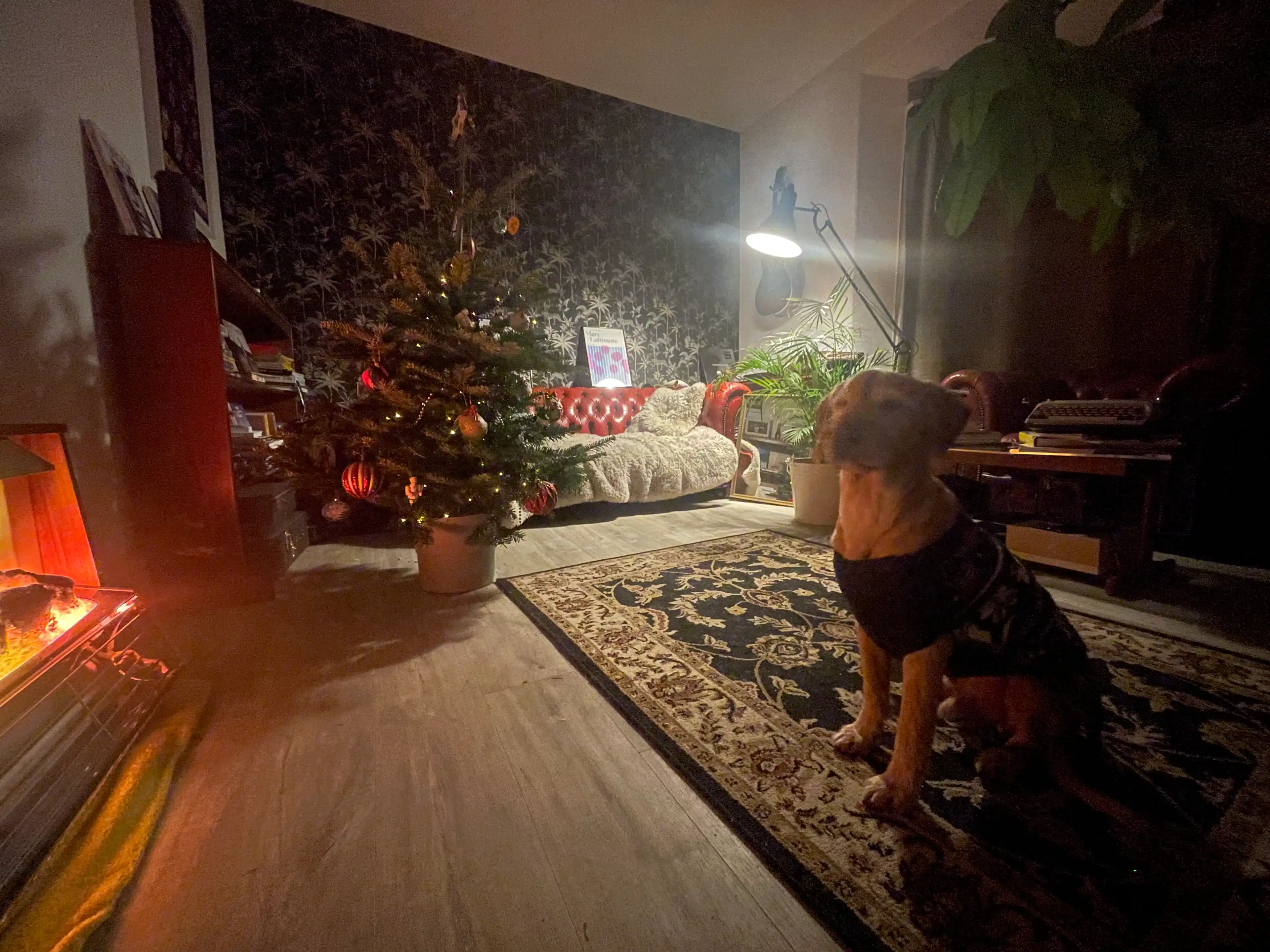 image-10
