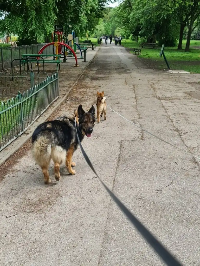 image-12