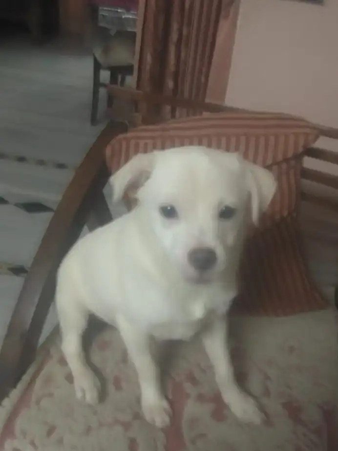 image-5
