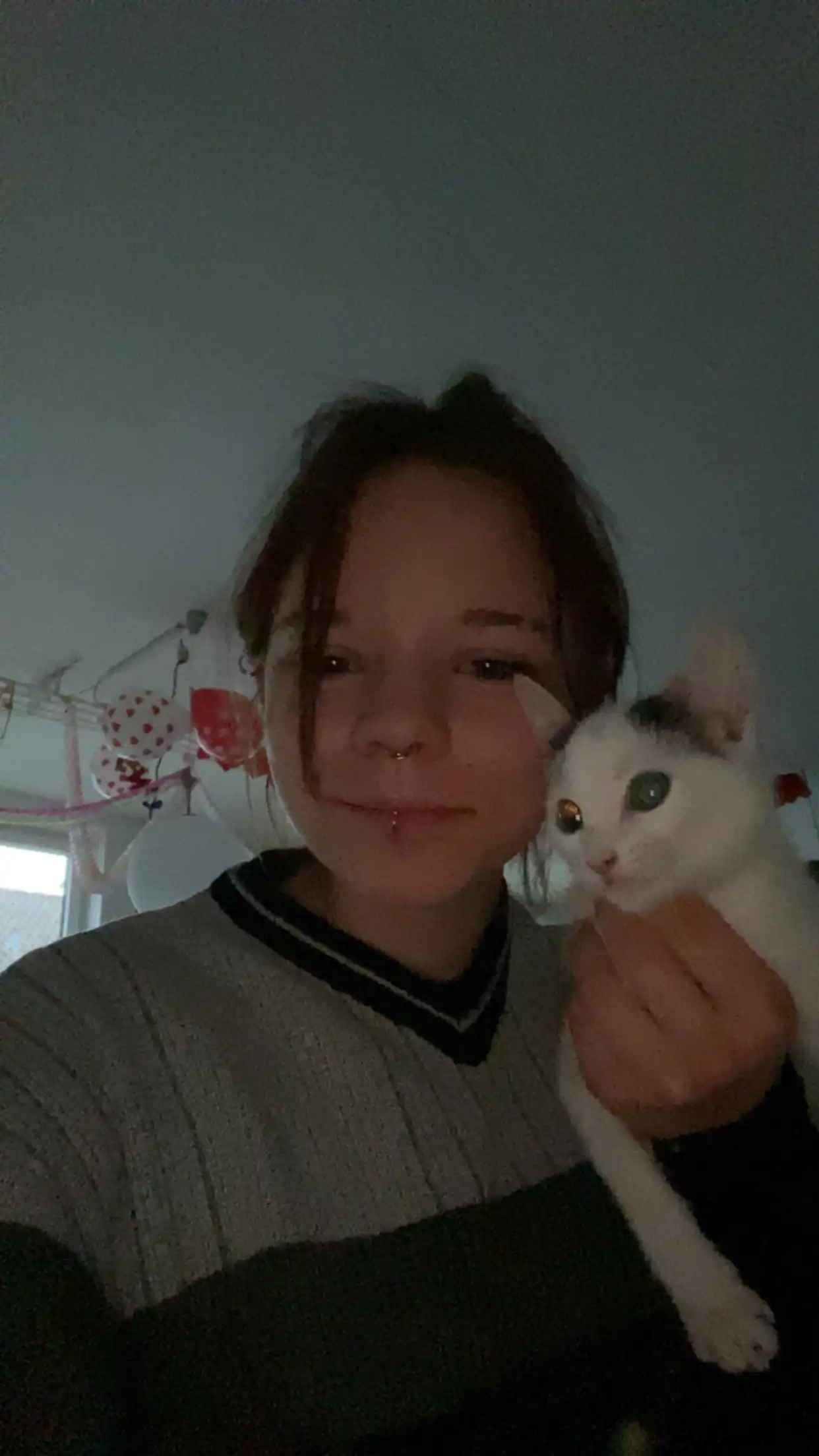 image-6