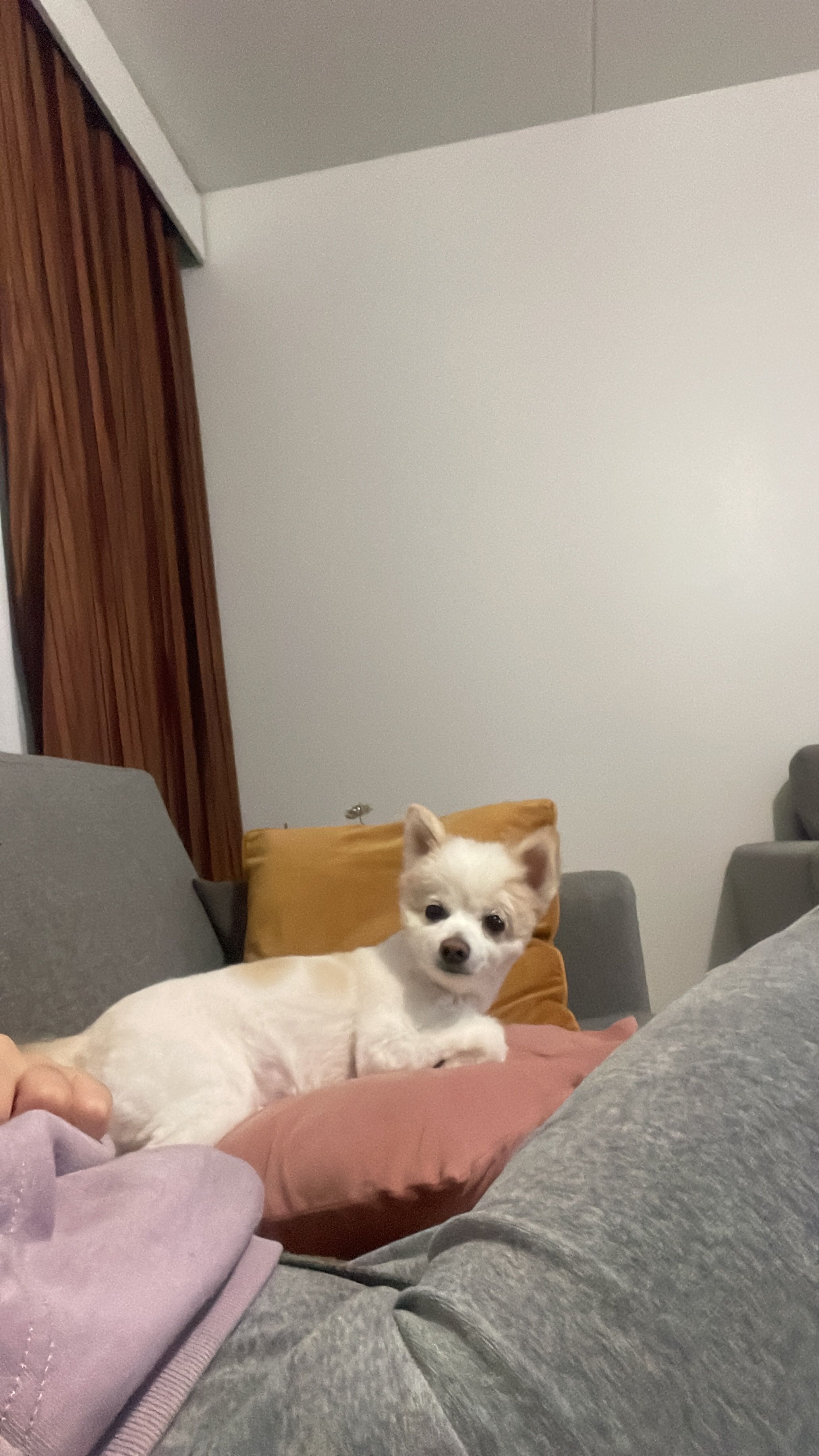 image-14