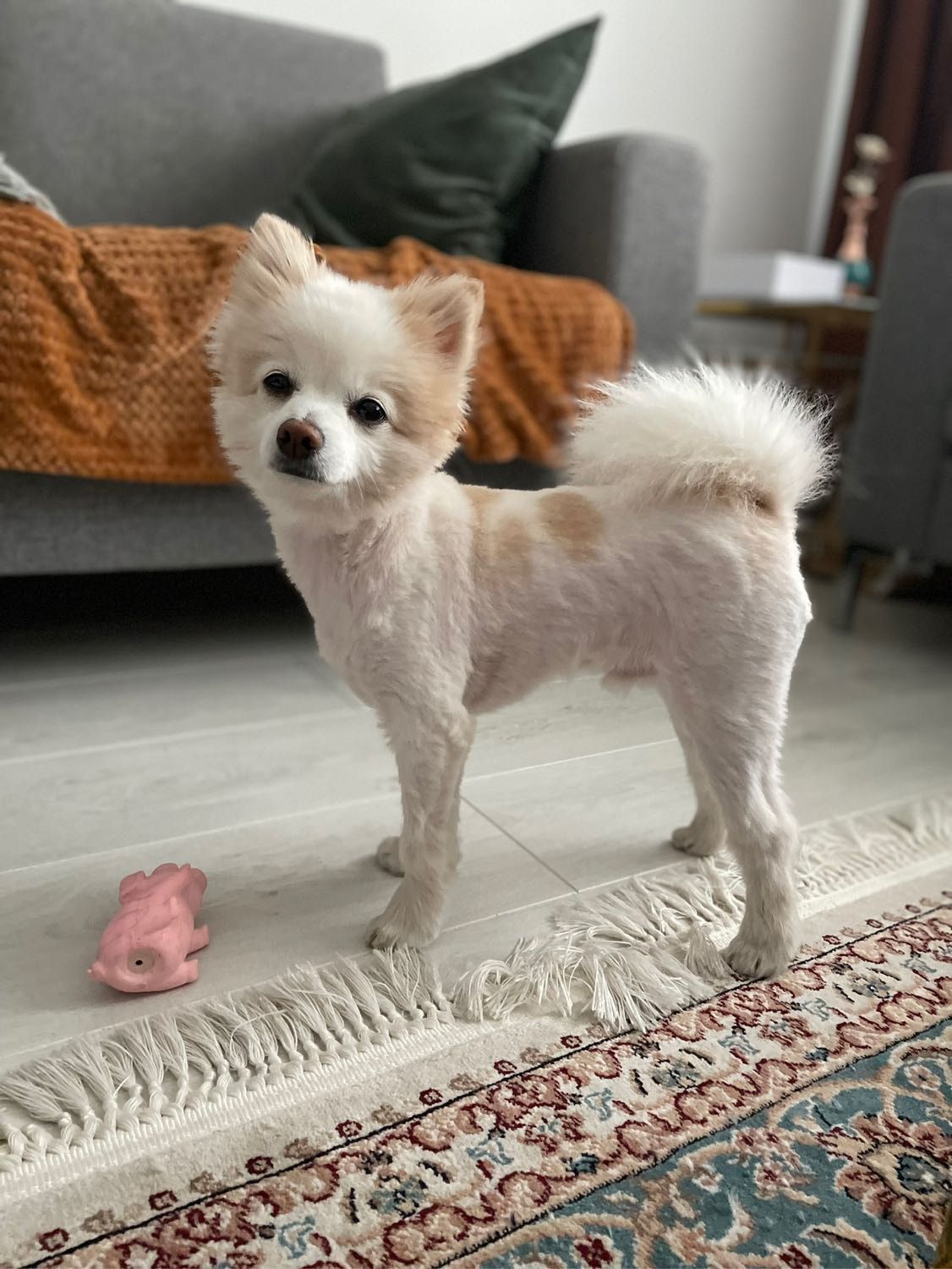 image-9