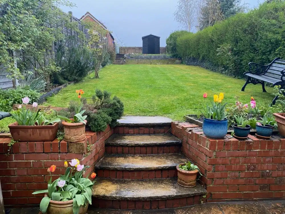 image-8