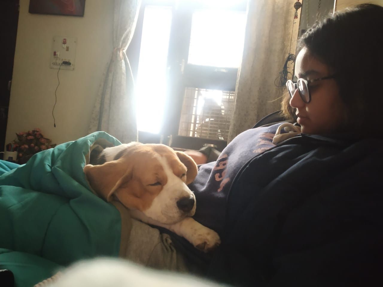 image-7