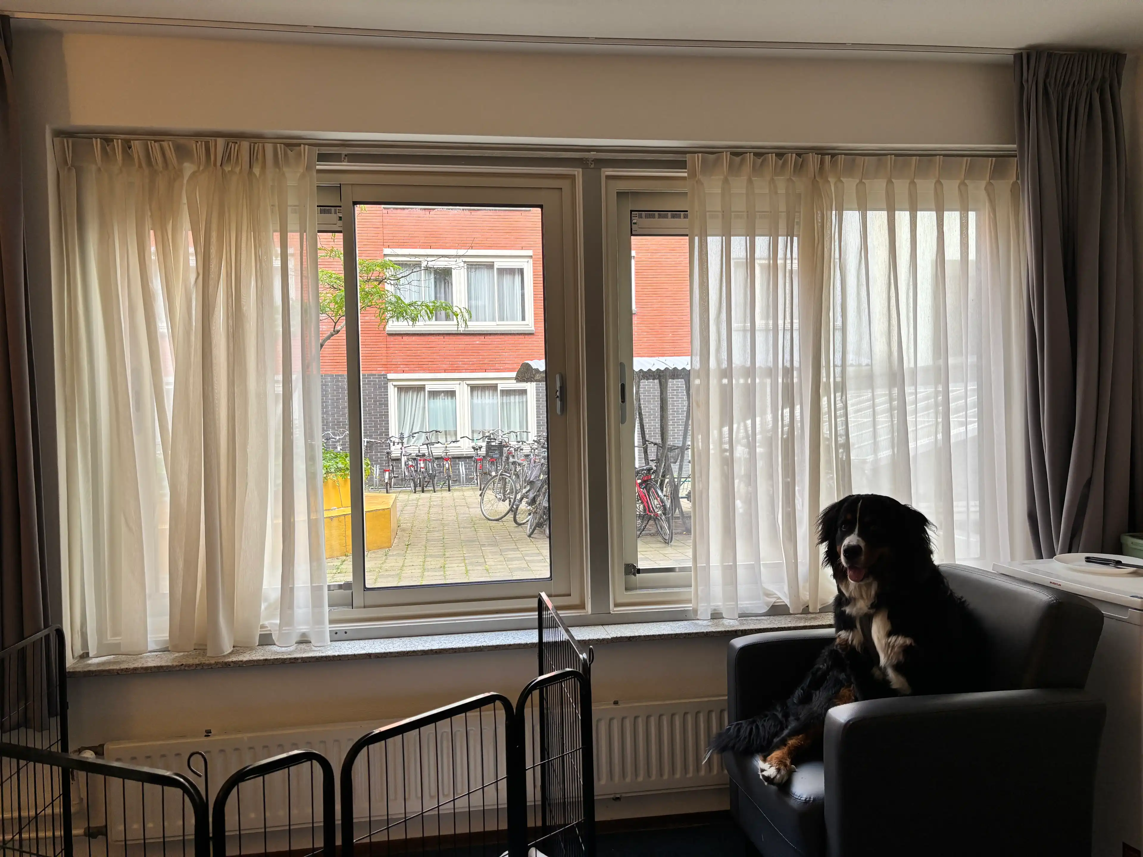 image-20